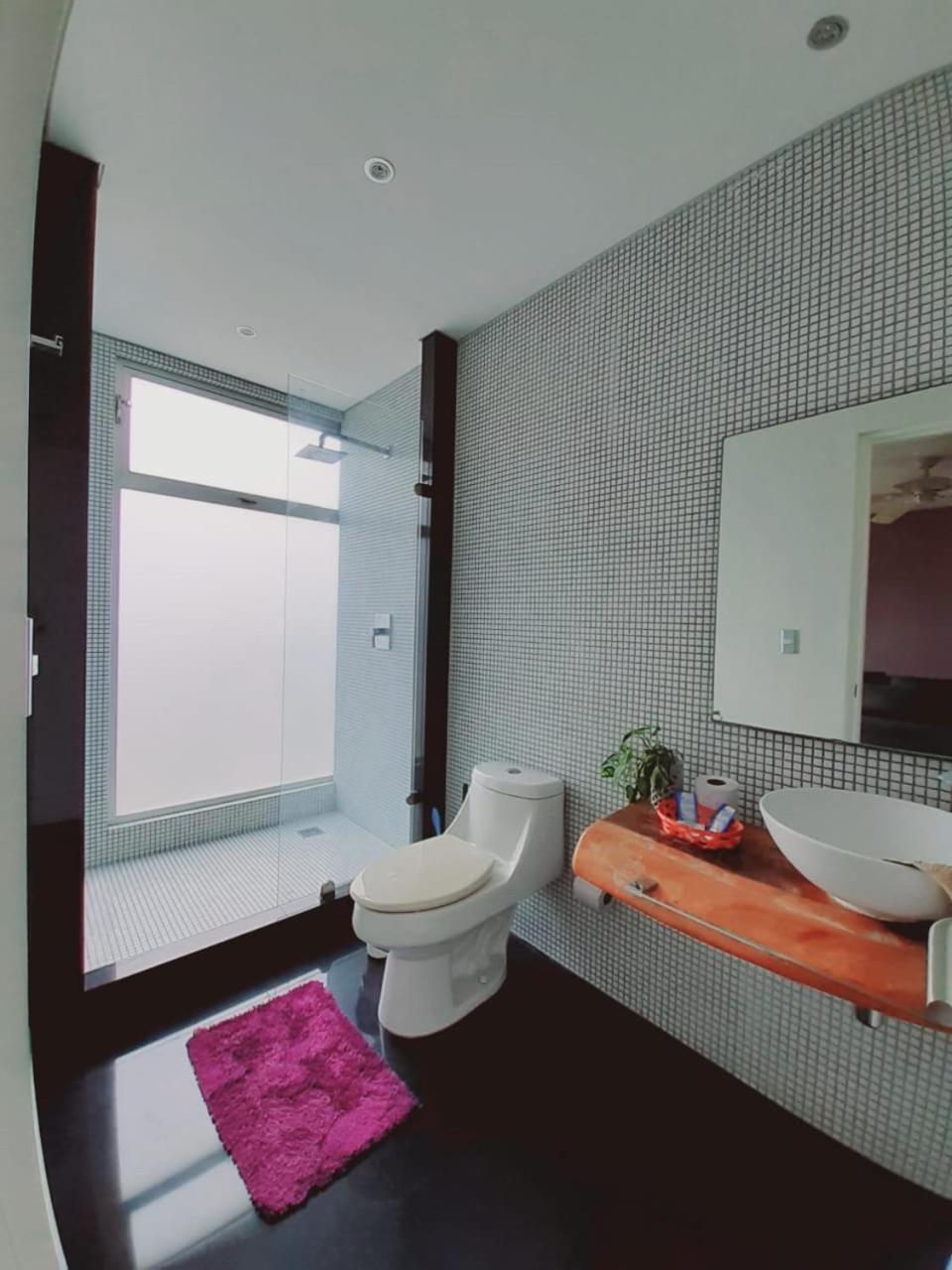 Playa Centro Rooftop Apartments & Studios