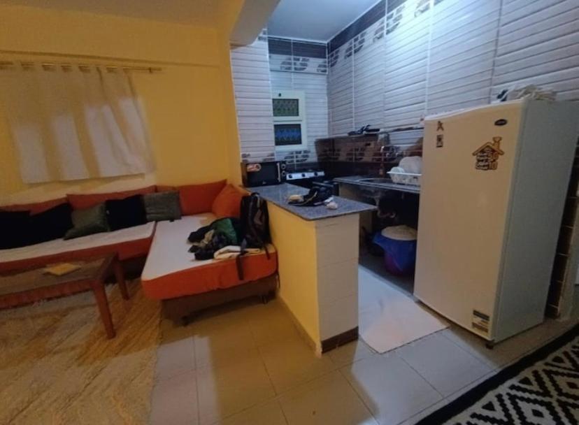 Palm Garden Studio