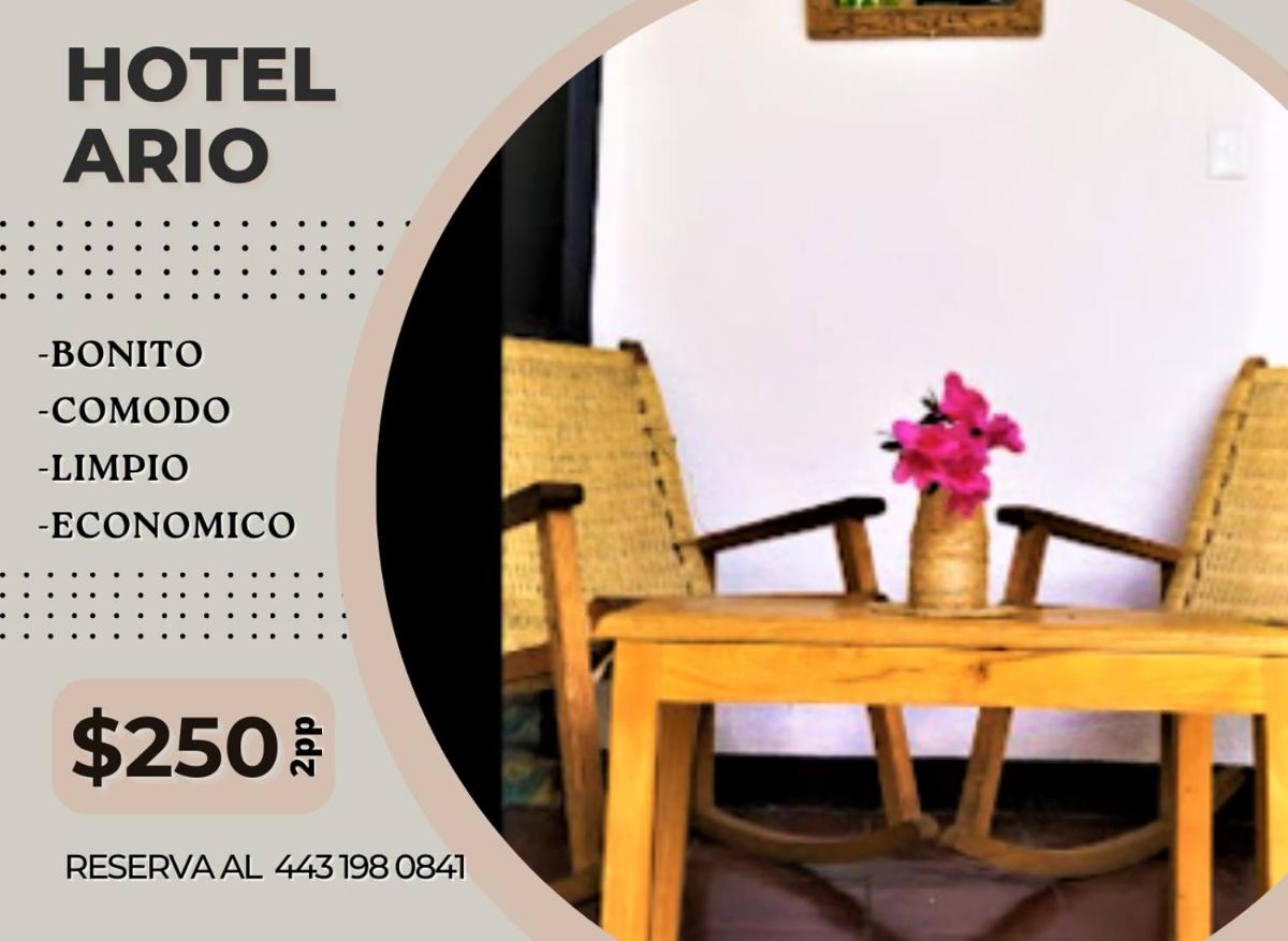 Hotel Ario view 3