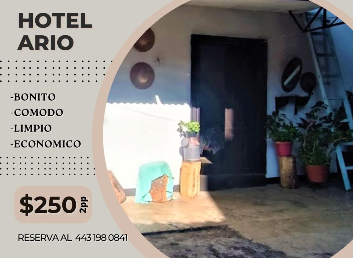 Hotel Ario view 5