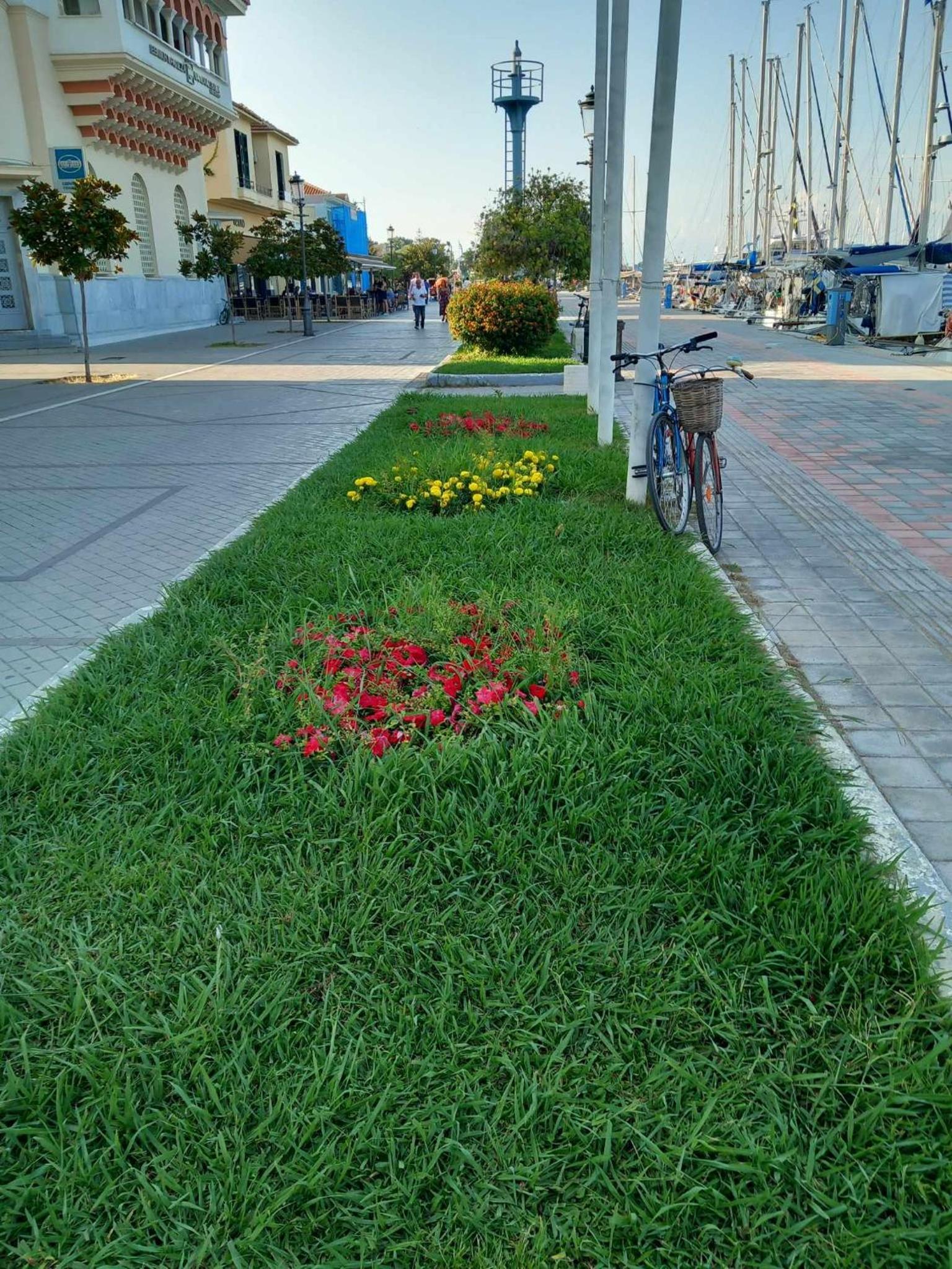 Photo 46