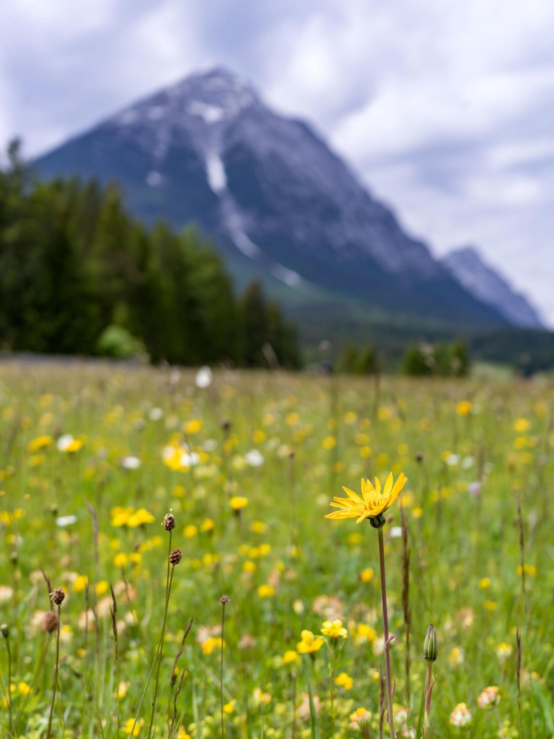 Karwendel Berglodge