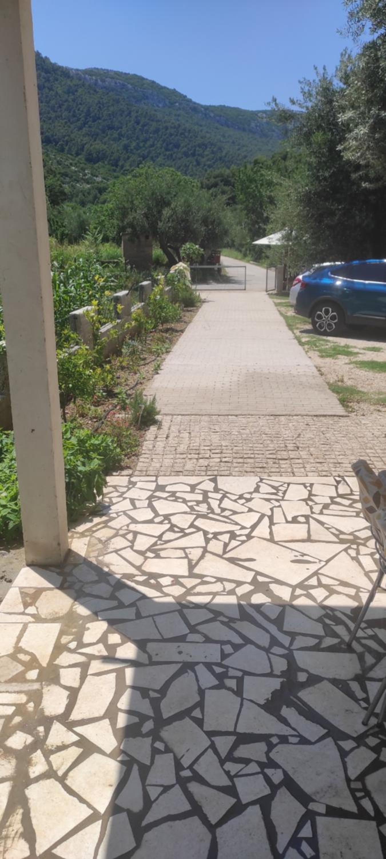Photo 56