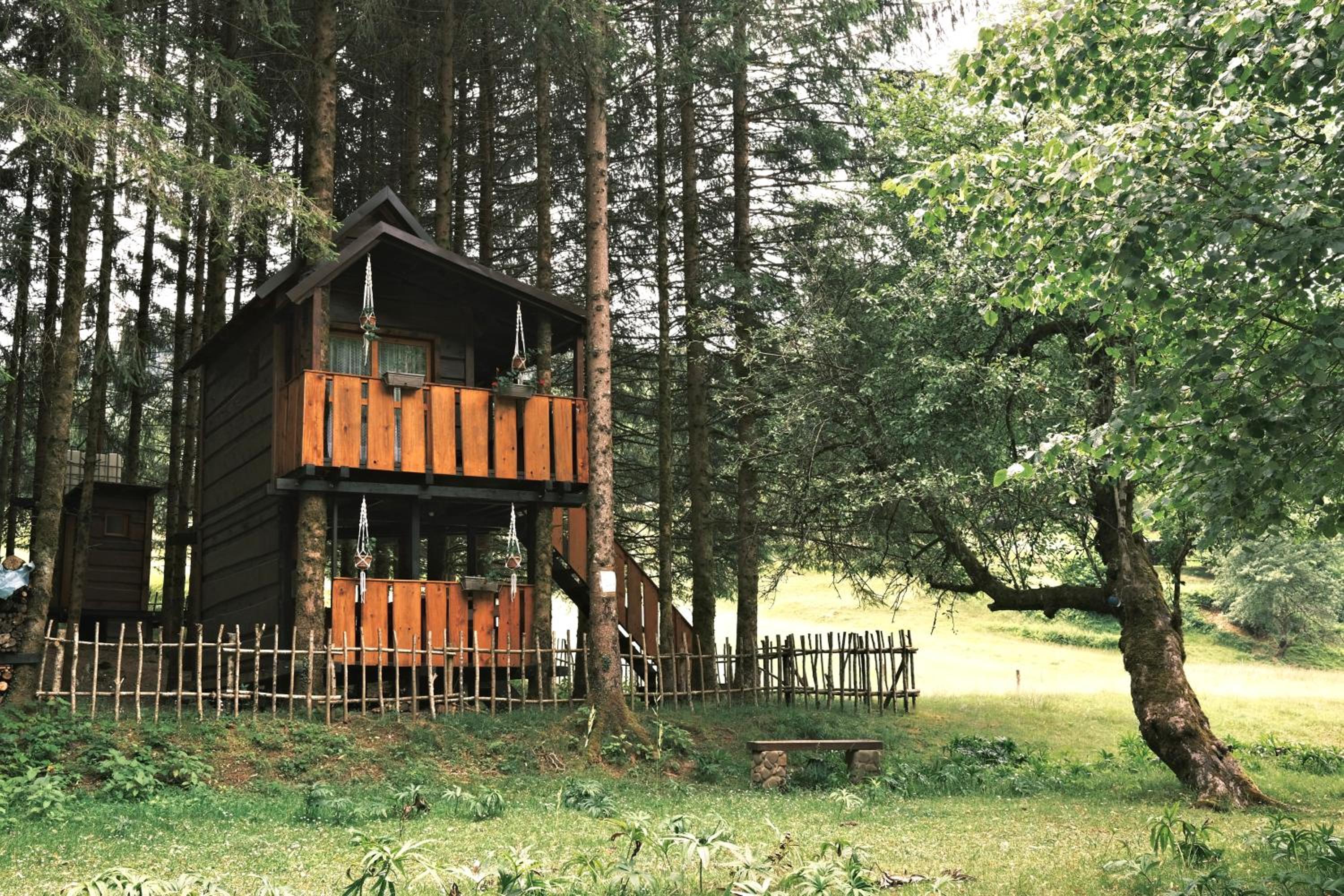 Treehouse KUPARI Nacionalni park Risnjak