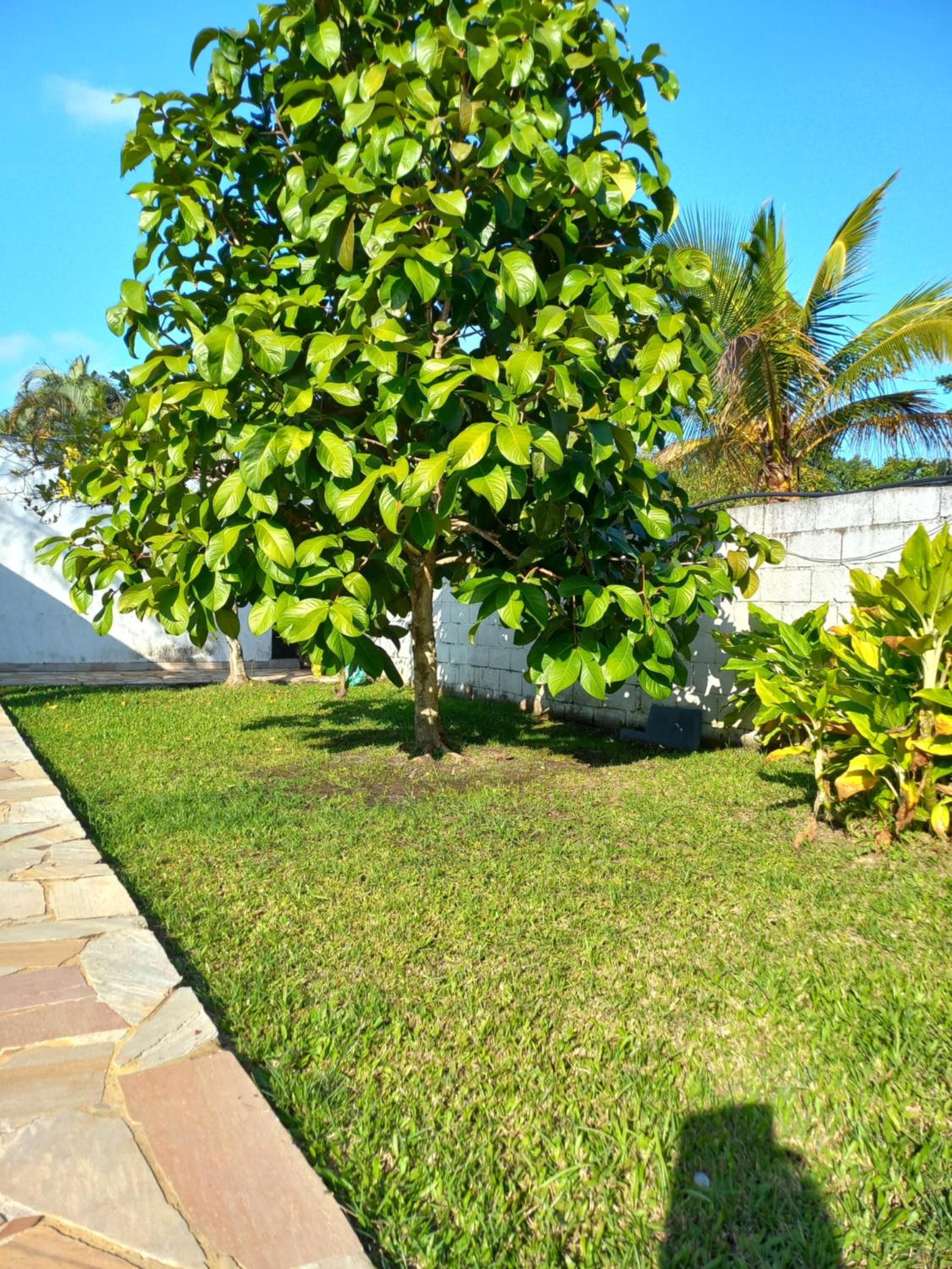 Chacara Sitio Casa Peruíbe praia