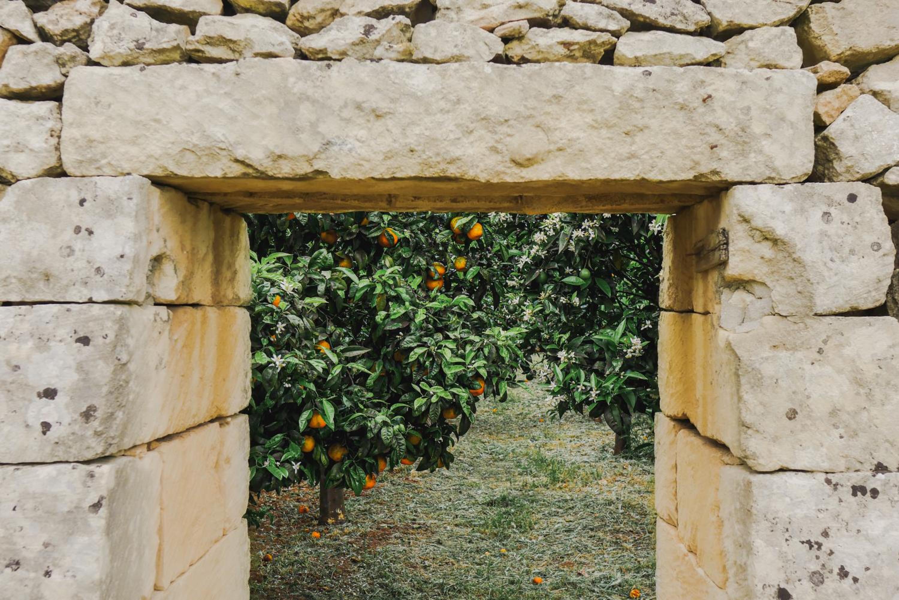 Masseria Paralupi
