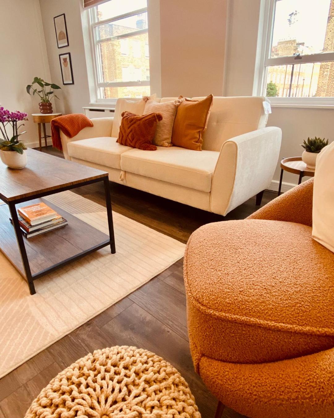 Luxury 2 Bedroom Marylebone Apartment view 4