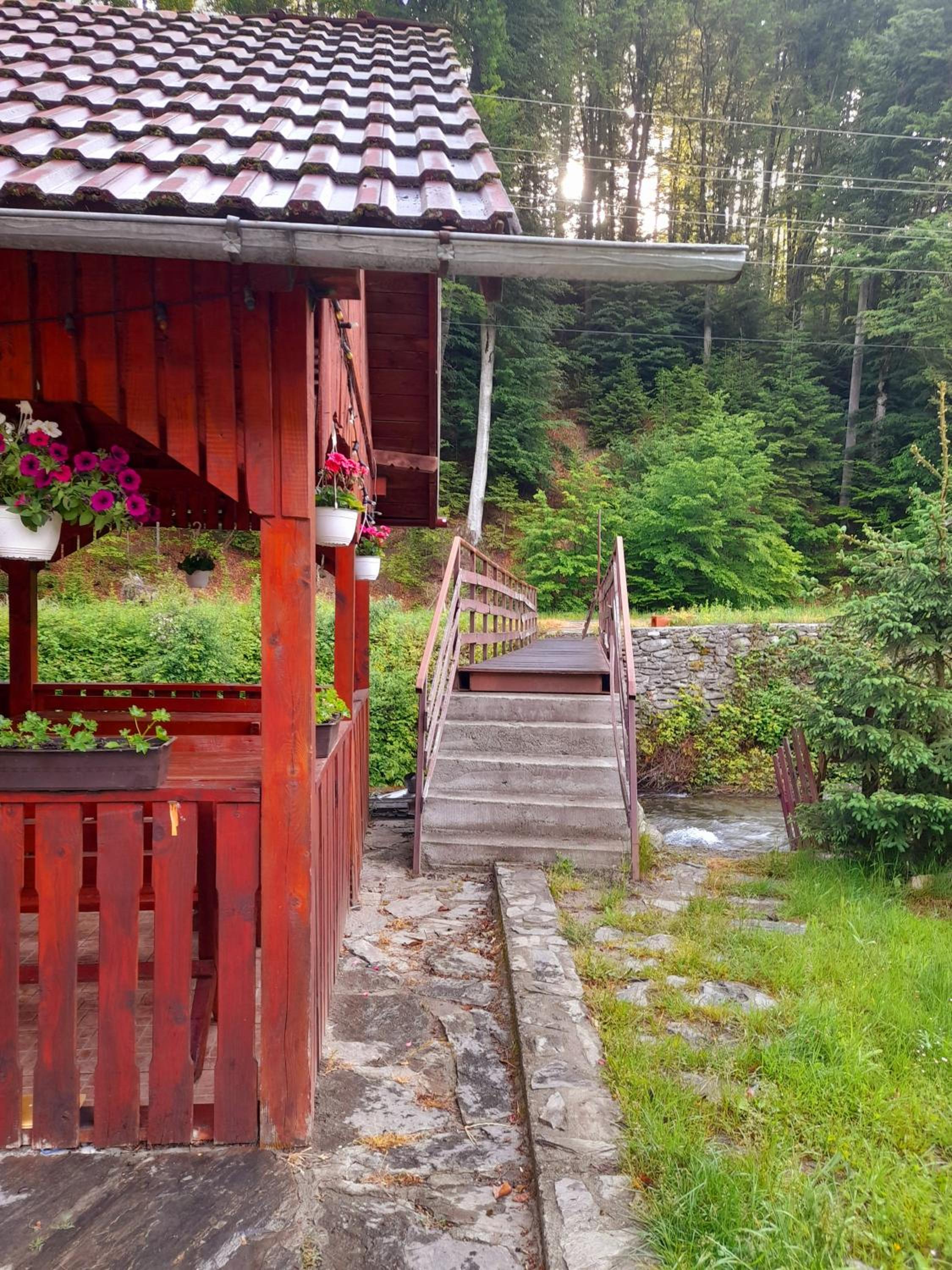 Photo 42