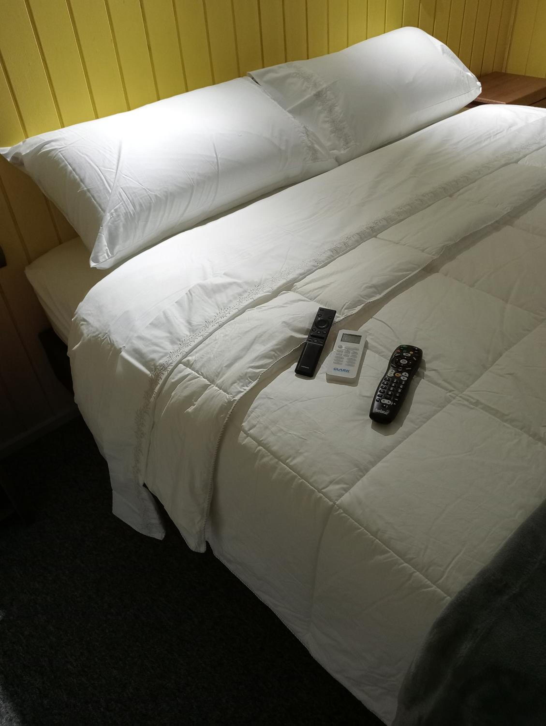 Hostal 1009 Valdivia