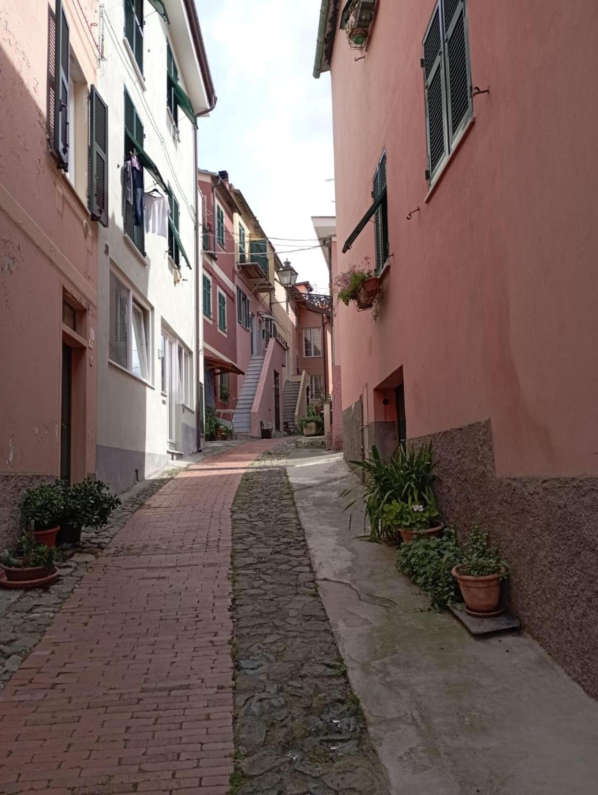 Al VIgneto