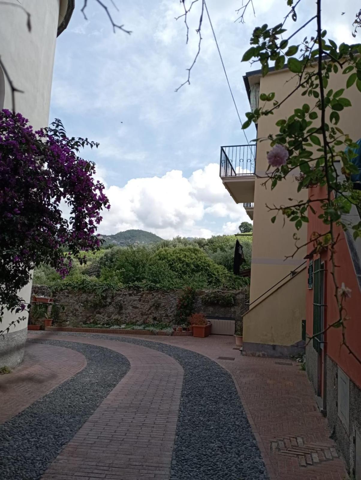 Al VIgneto