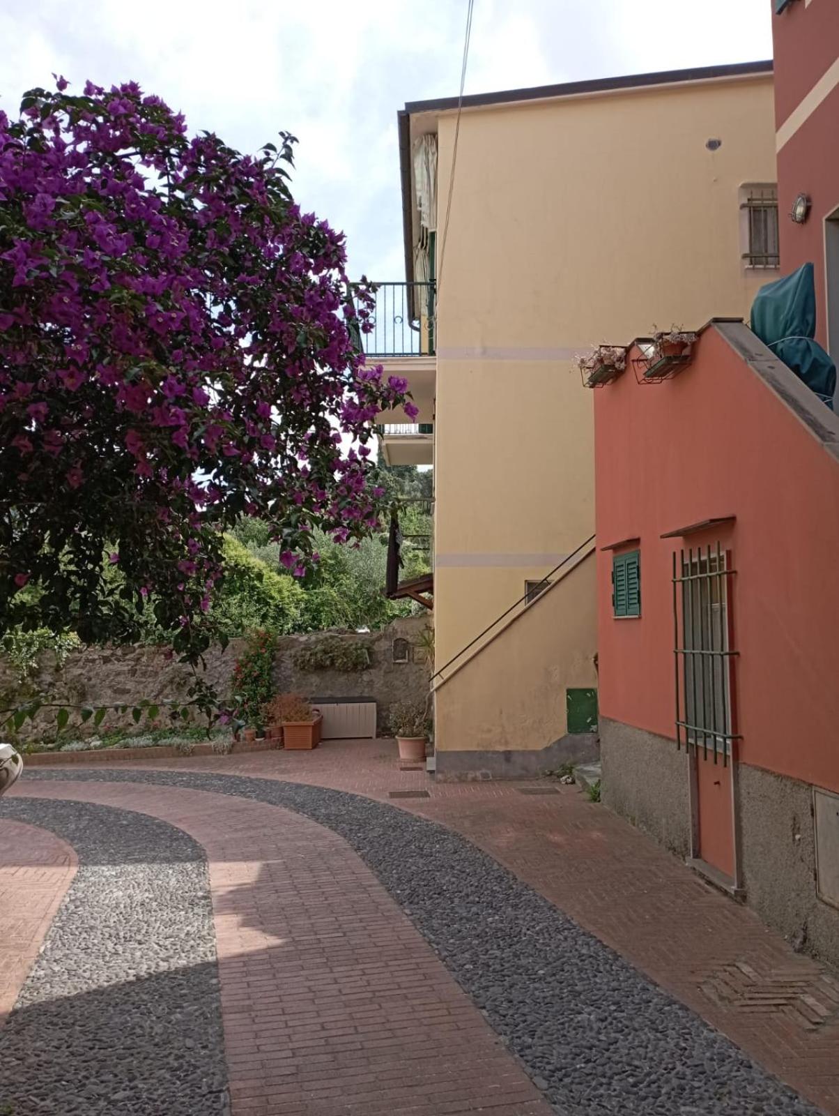 Al VIgneto
