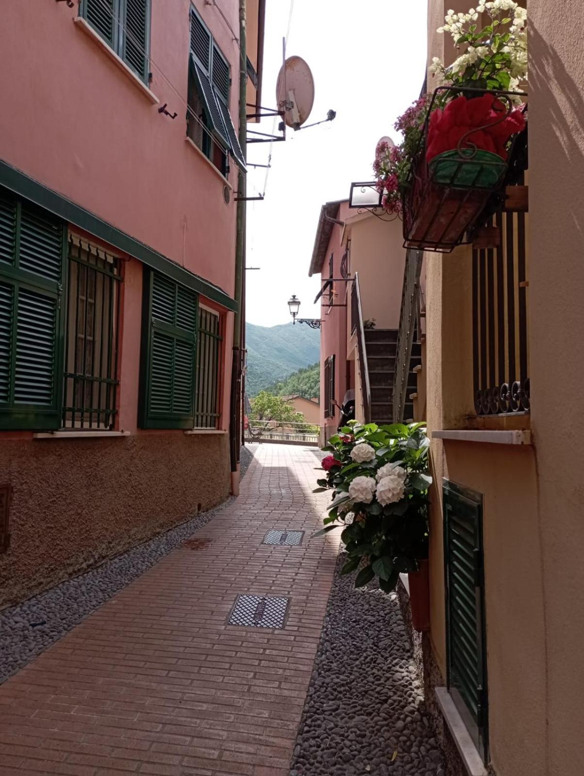 Al VIgneto