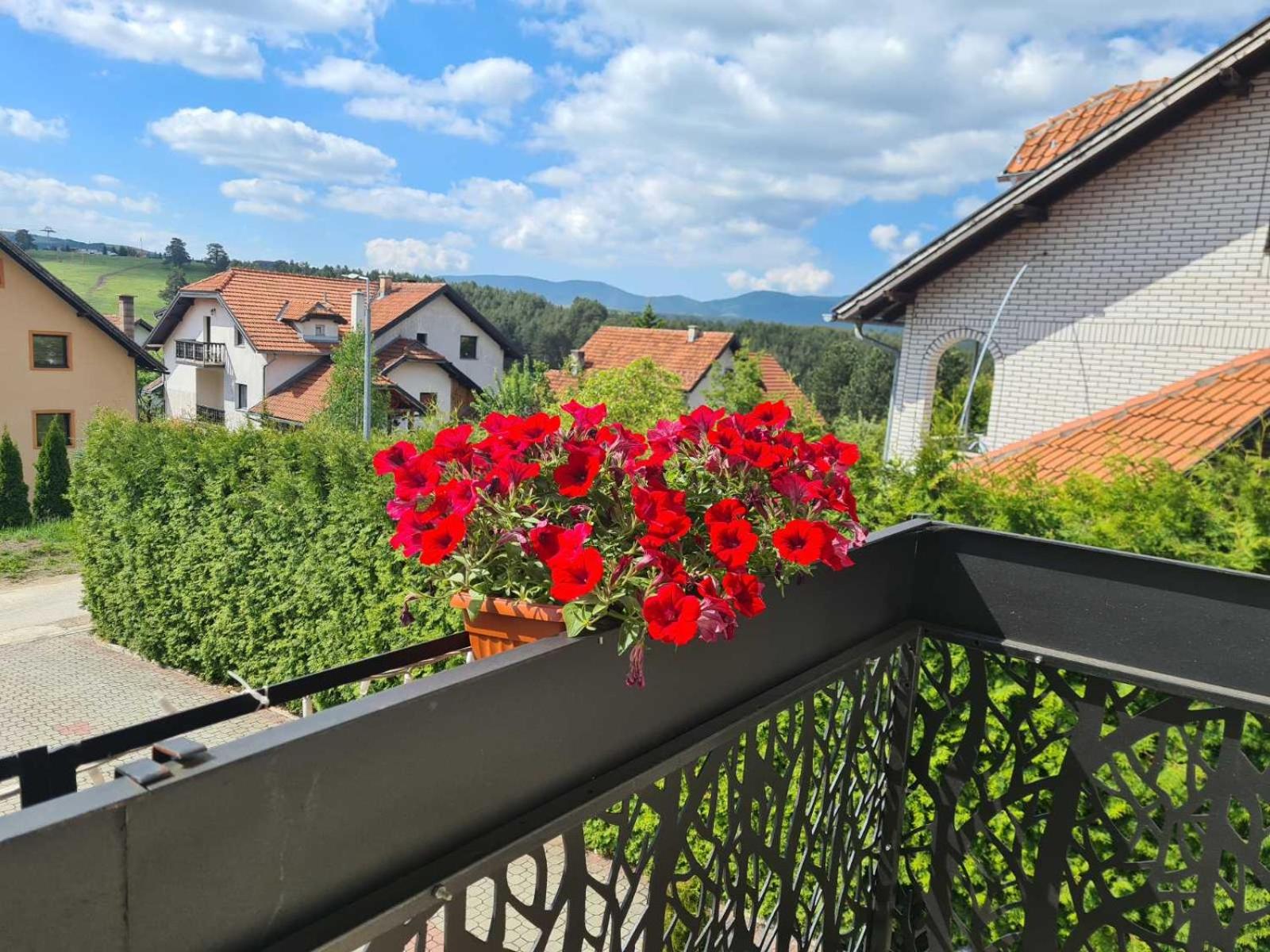 APARTMANI JASMINA