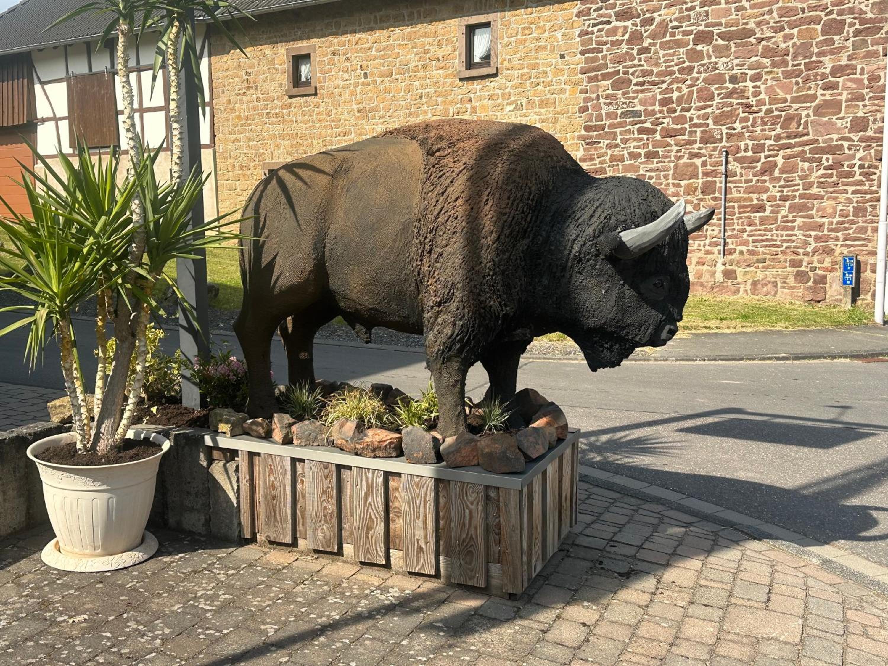 Ferienwohnungen Büffel
