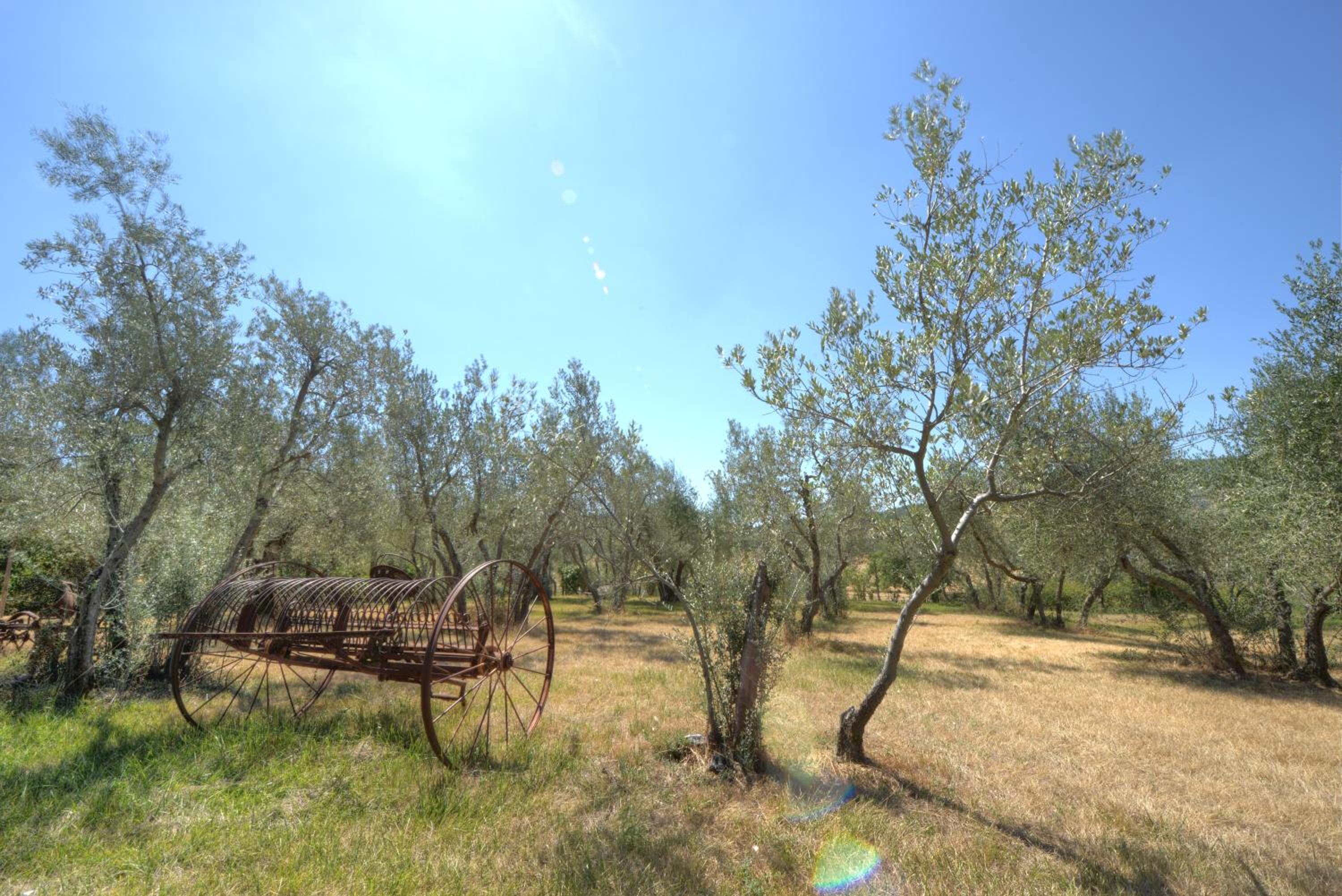 Photo 43