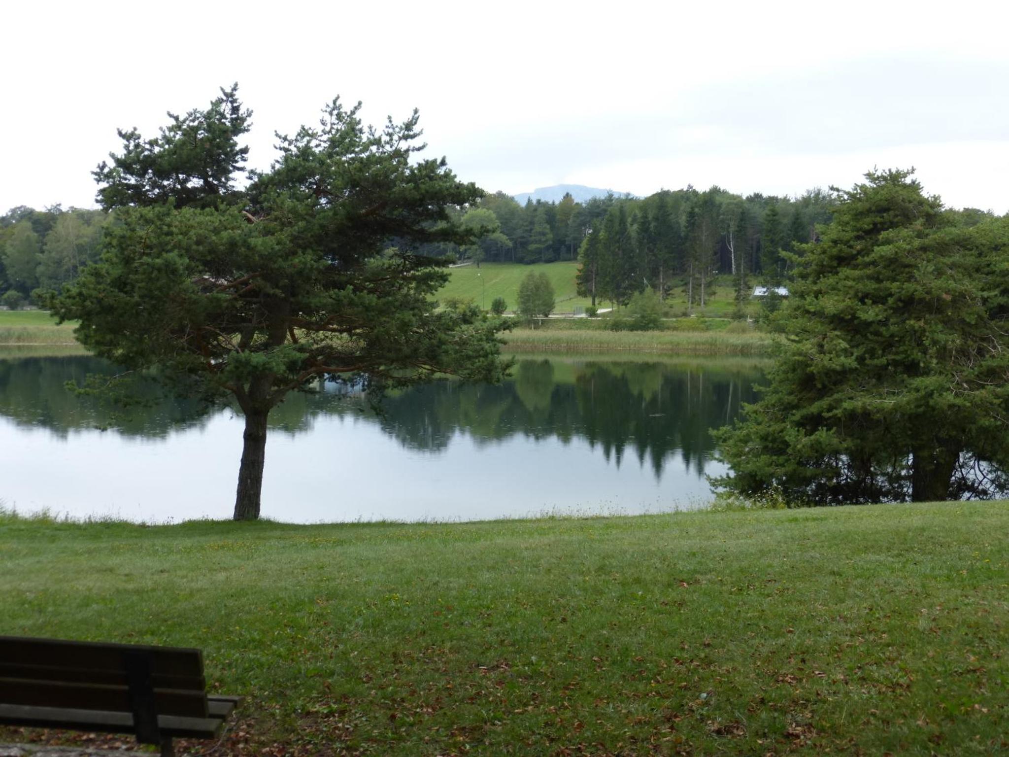Photo 40