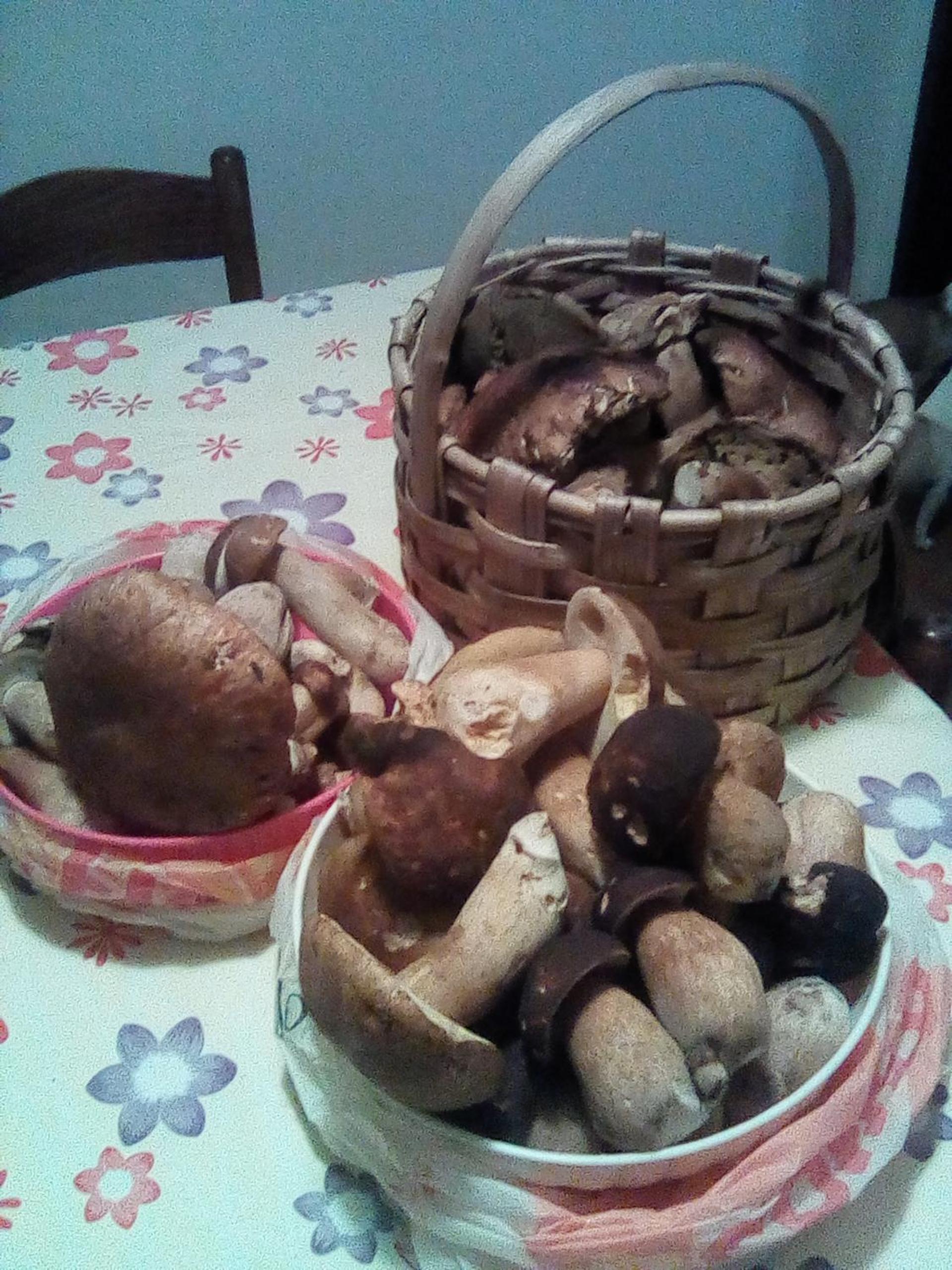 Photo 22