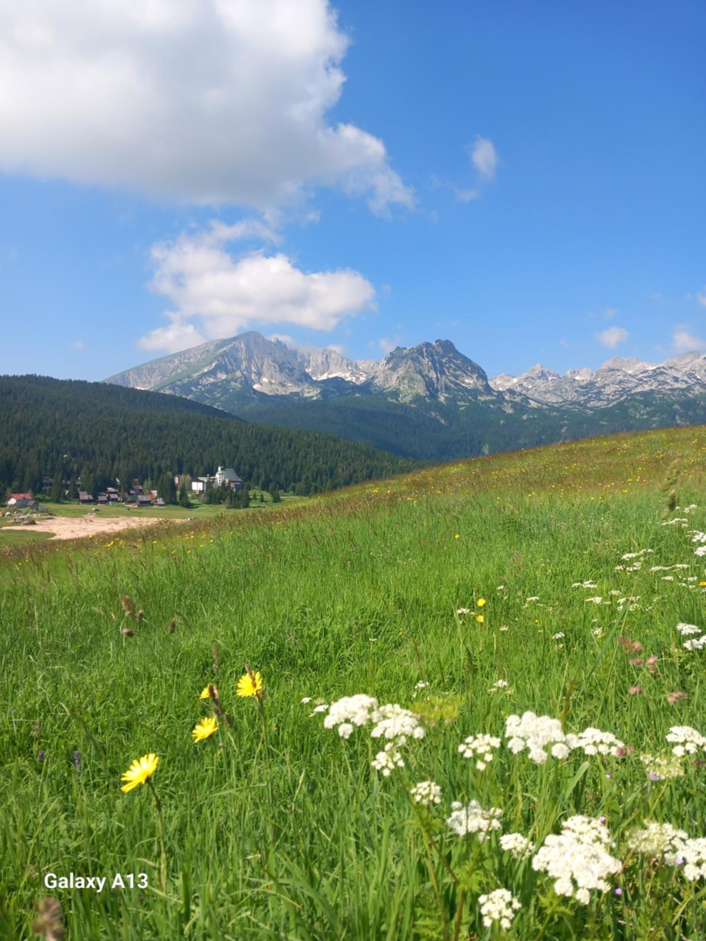 Apartman Andrija