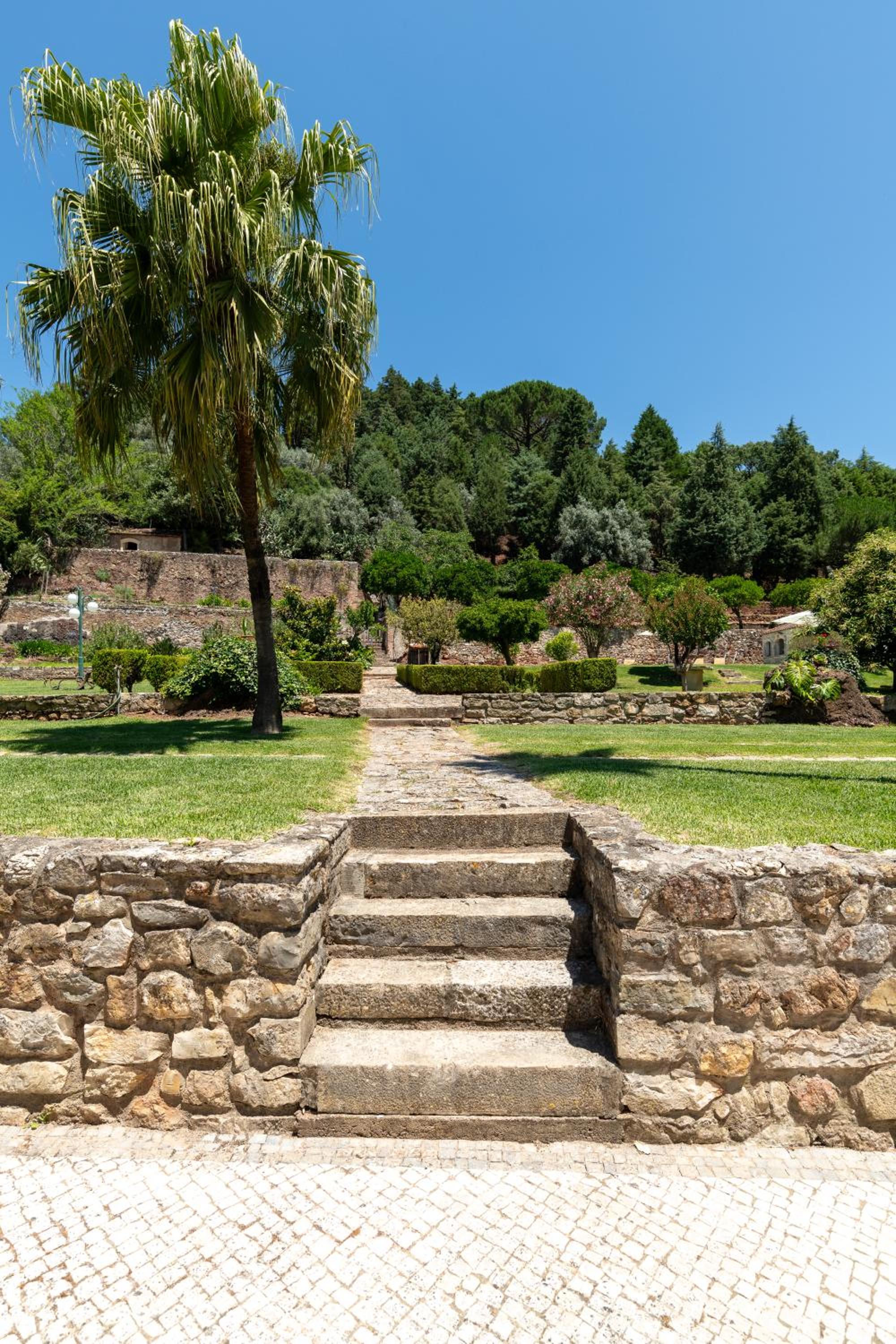 Quinta do Calvário view 5