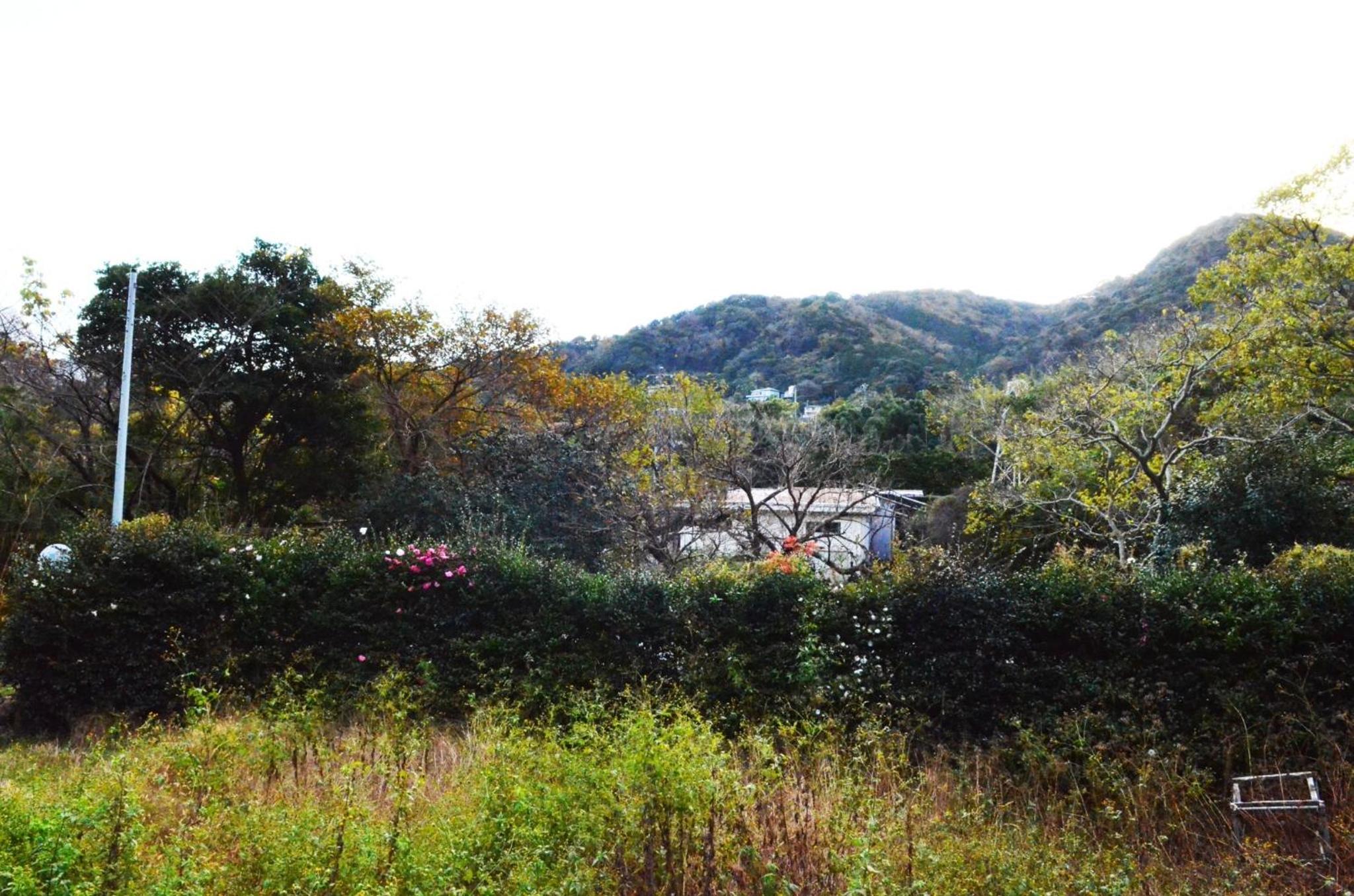Photo 45