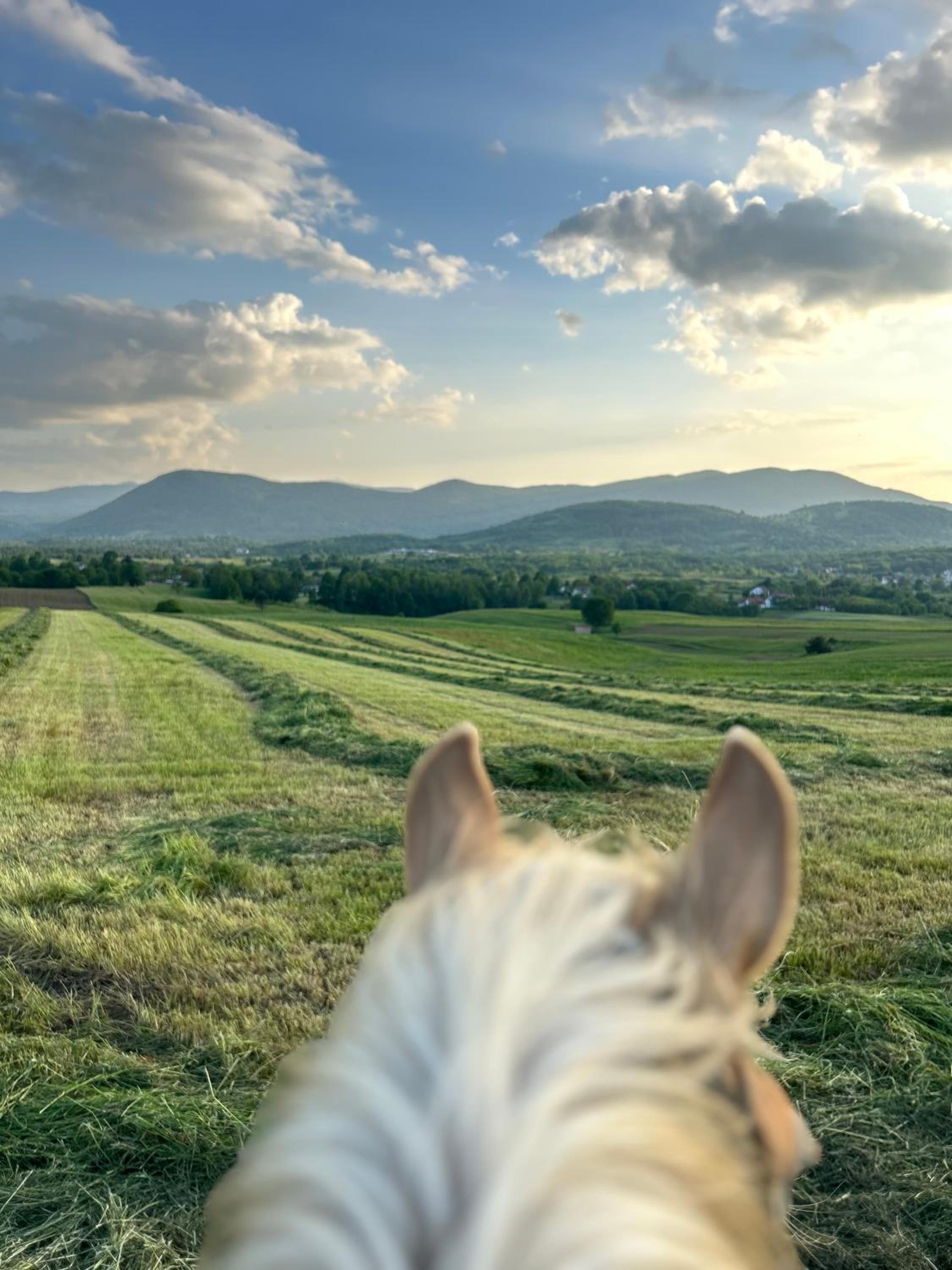 Ranch Terra