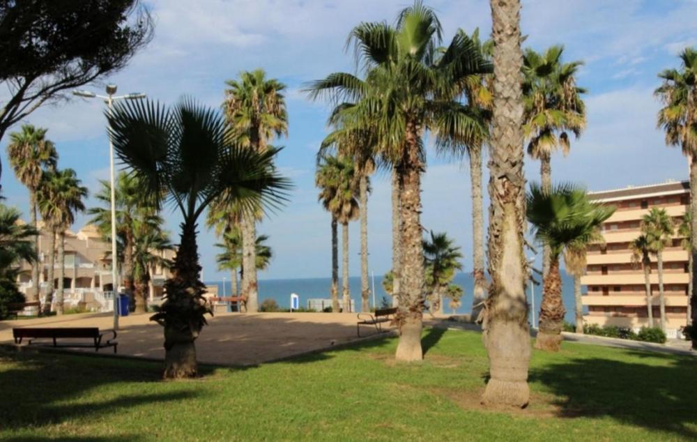 Hotel Nice bungalow La Mata with sea views - Image 1