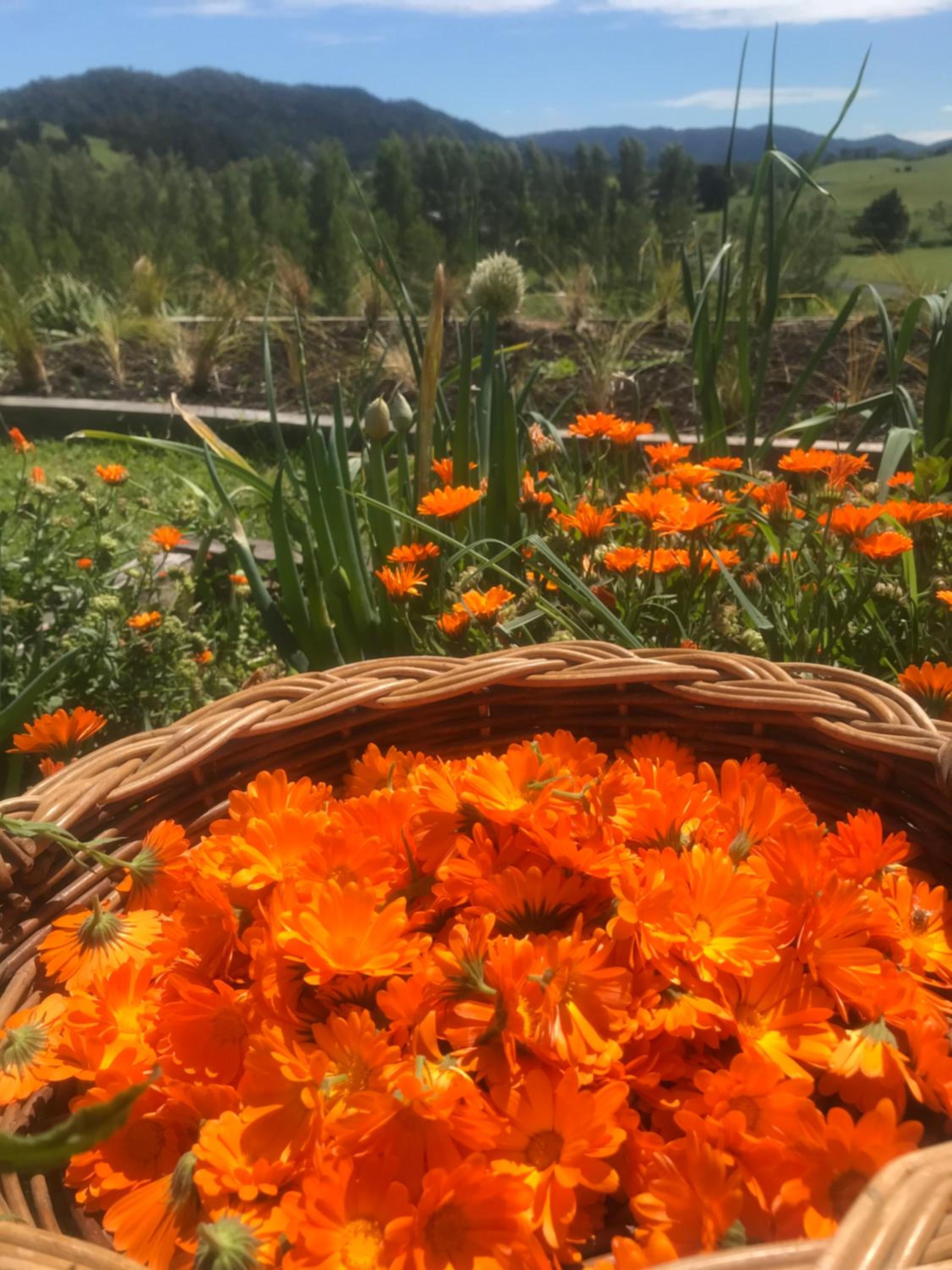 Perma Ridge Farmstay