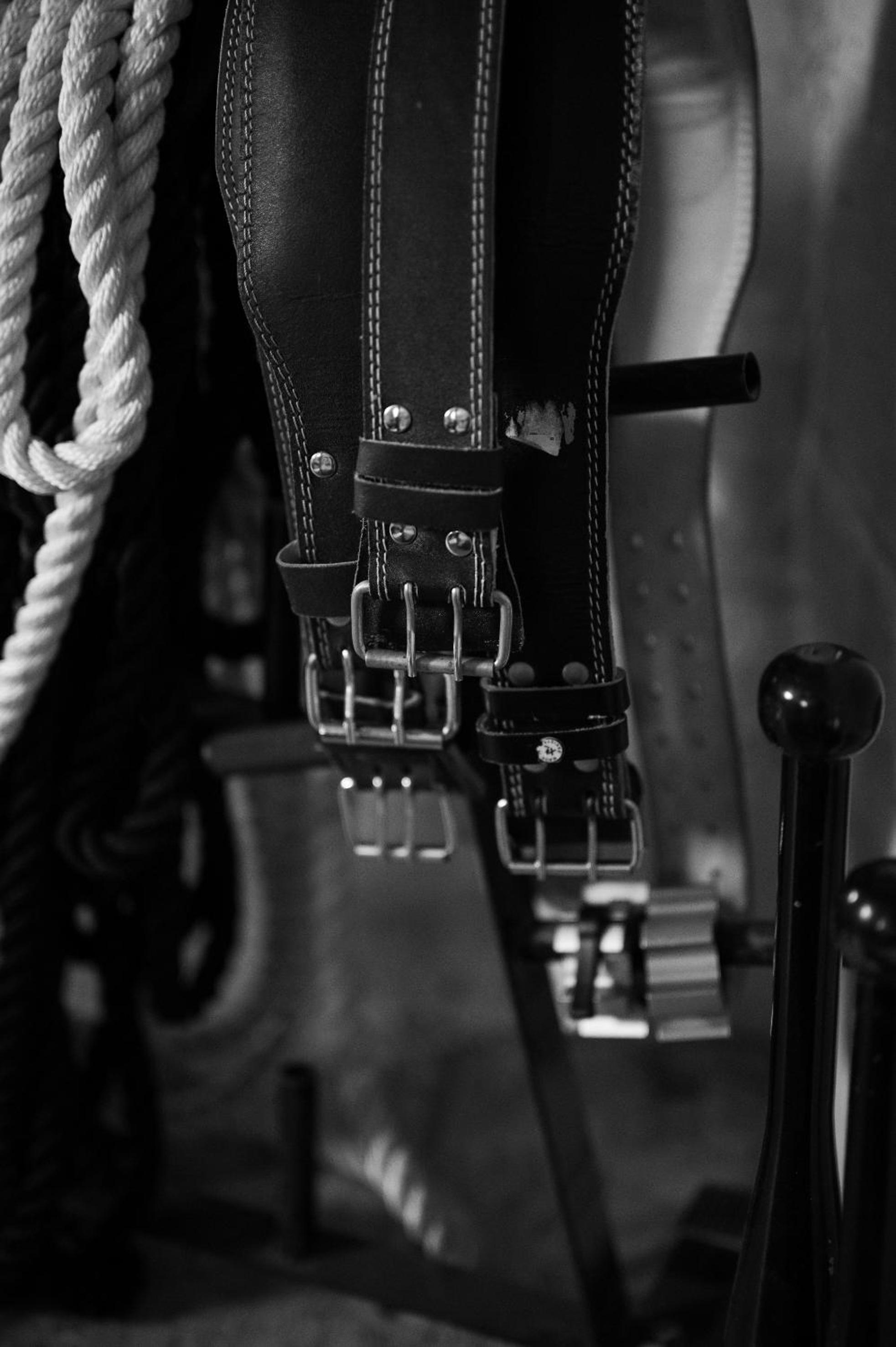 Photo 44