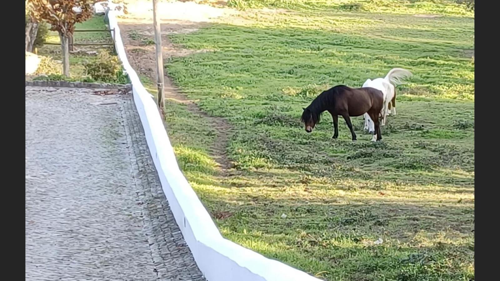 QUINTA DE SANT'ANA view 2