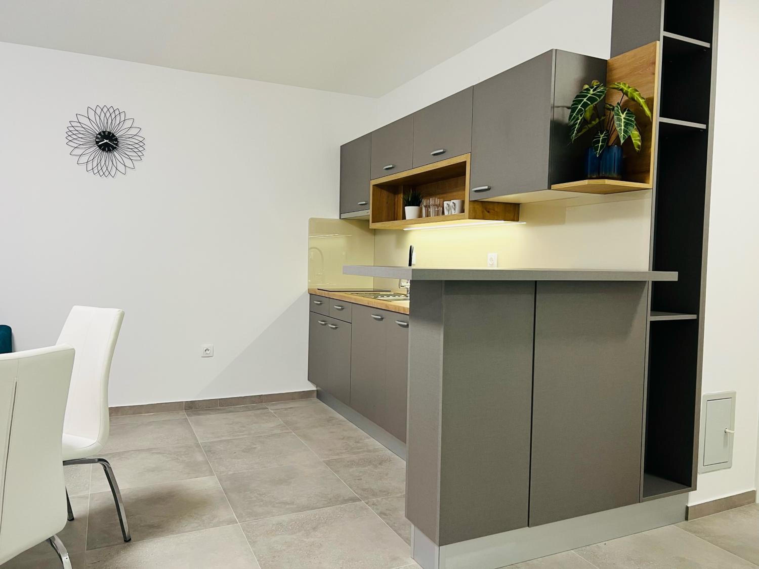 Apartmani AViS