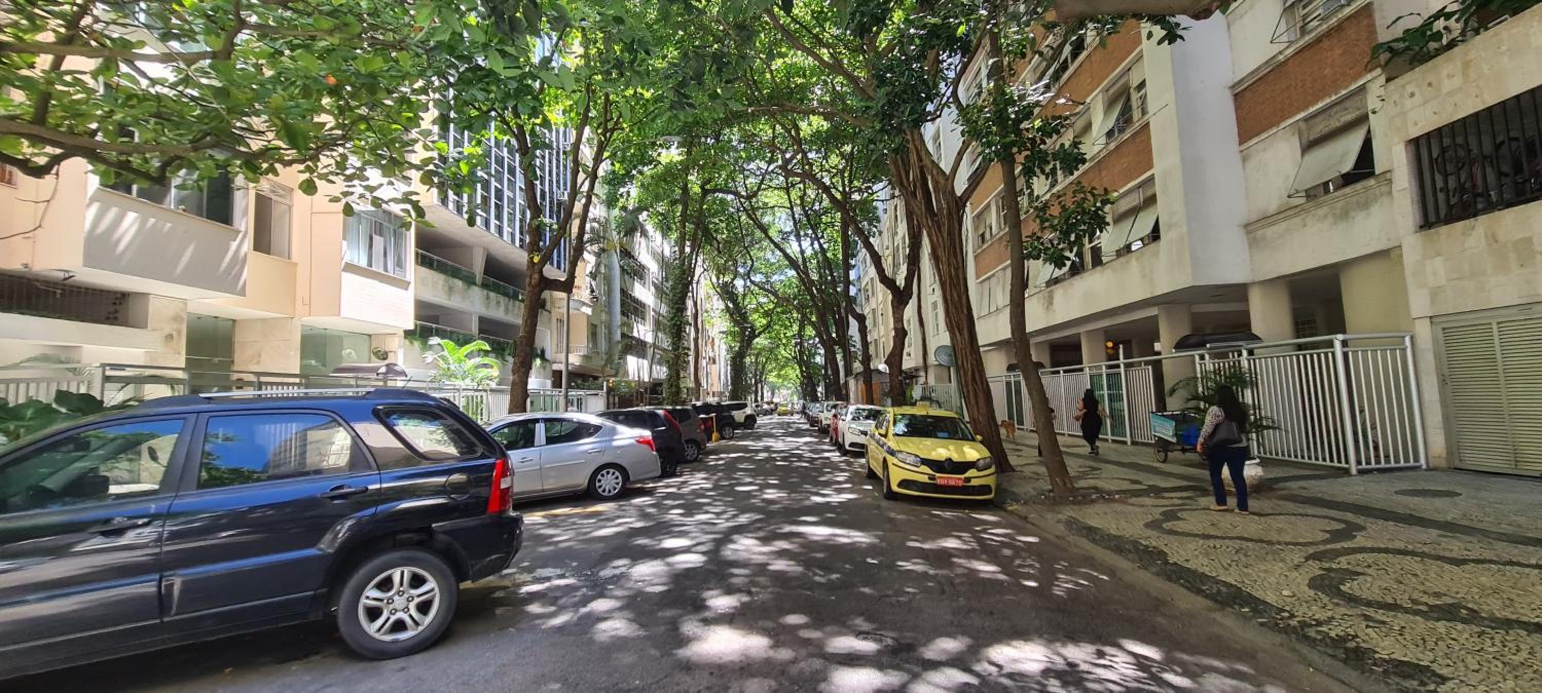 Ap Copanema