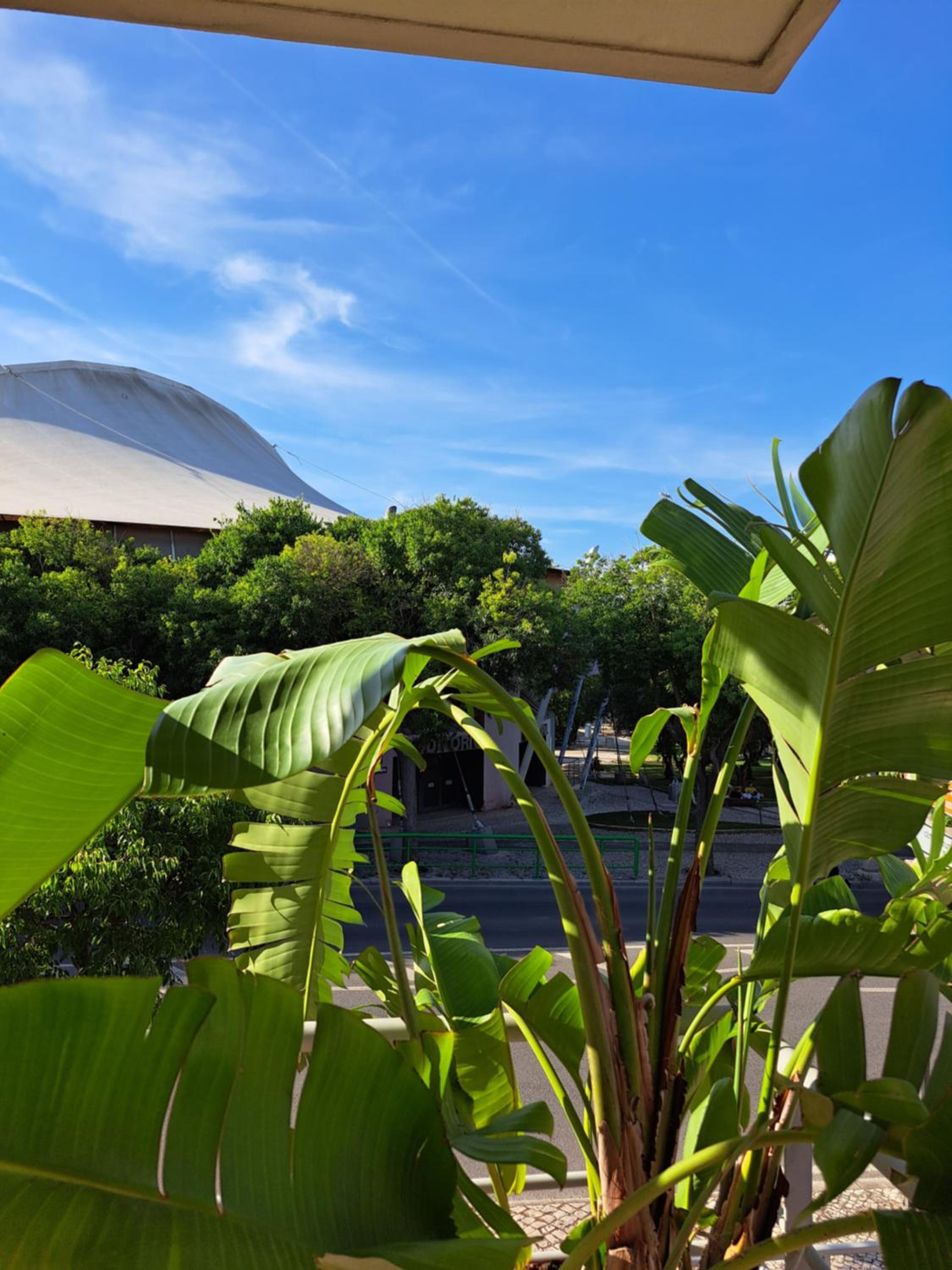 Villa Prana Guesthouse, Yoga & Ayurveda