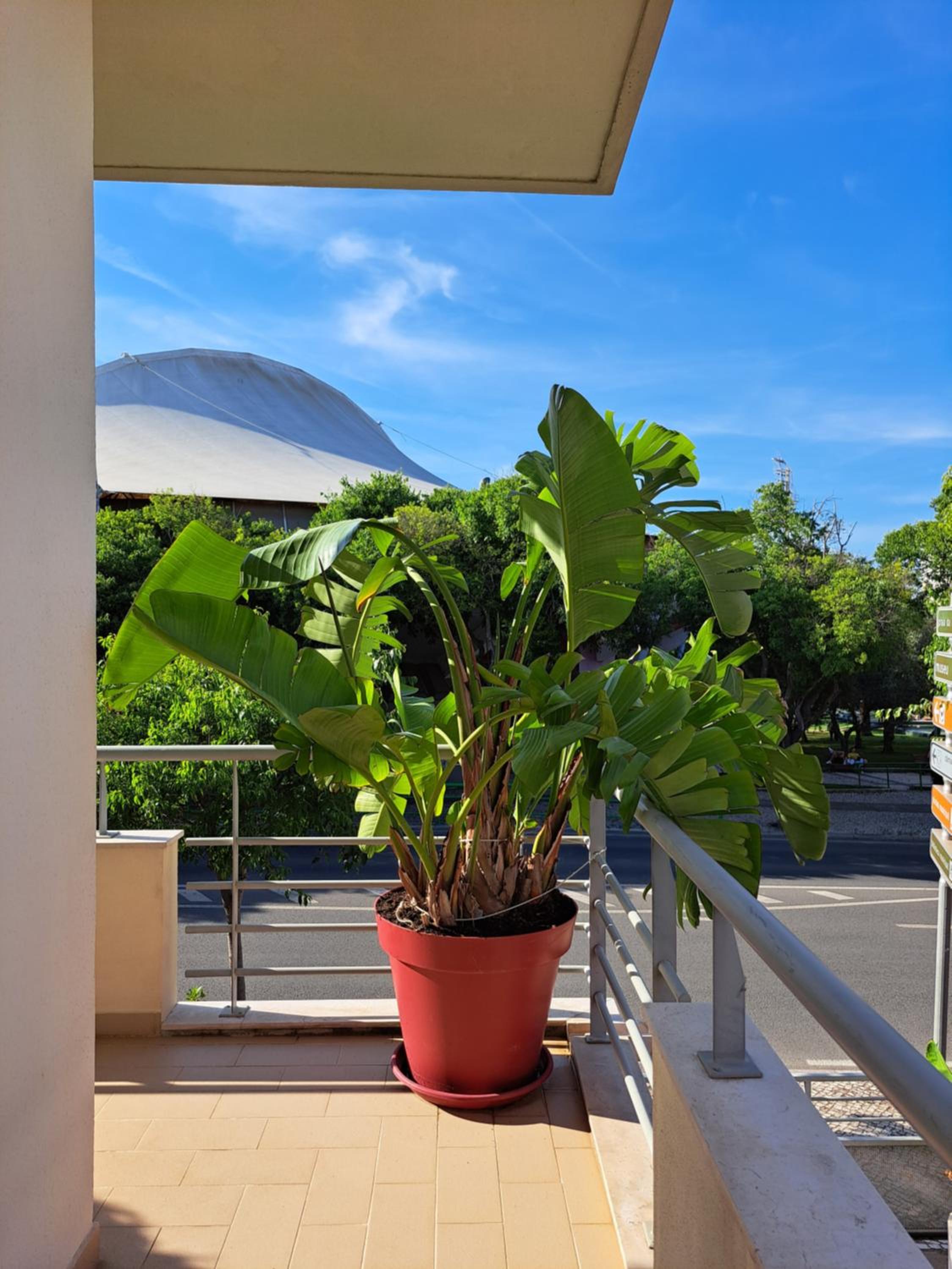 Villa Prana Guesthouse, Yoga & Ayurveda