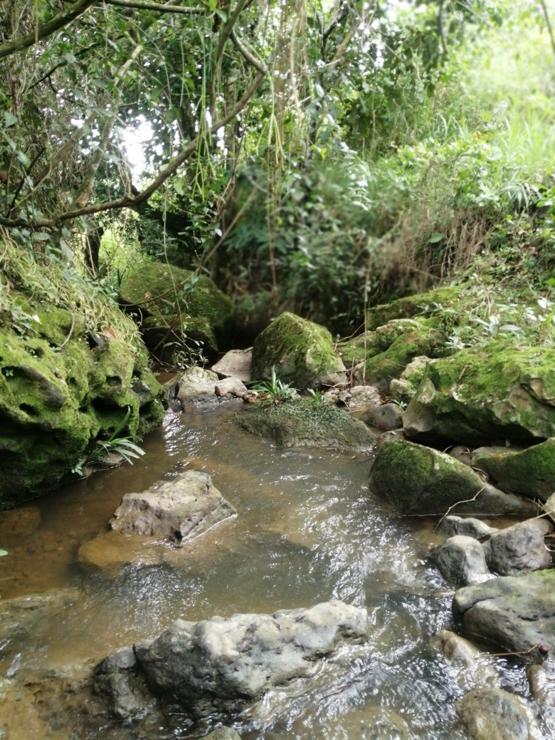 CASA CAMPESTRE COMPLETa