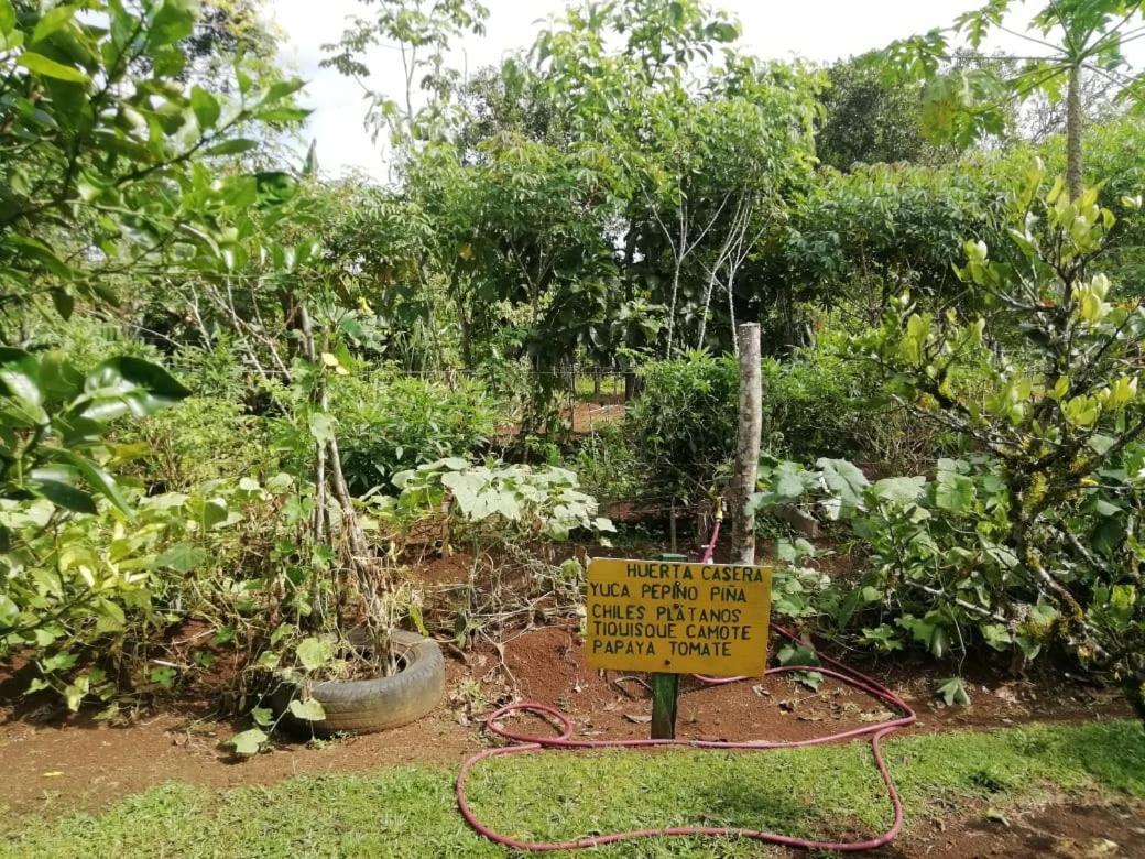 Posada Rural Oasis