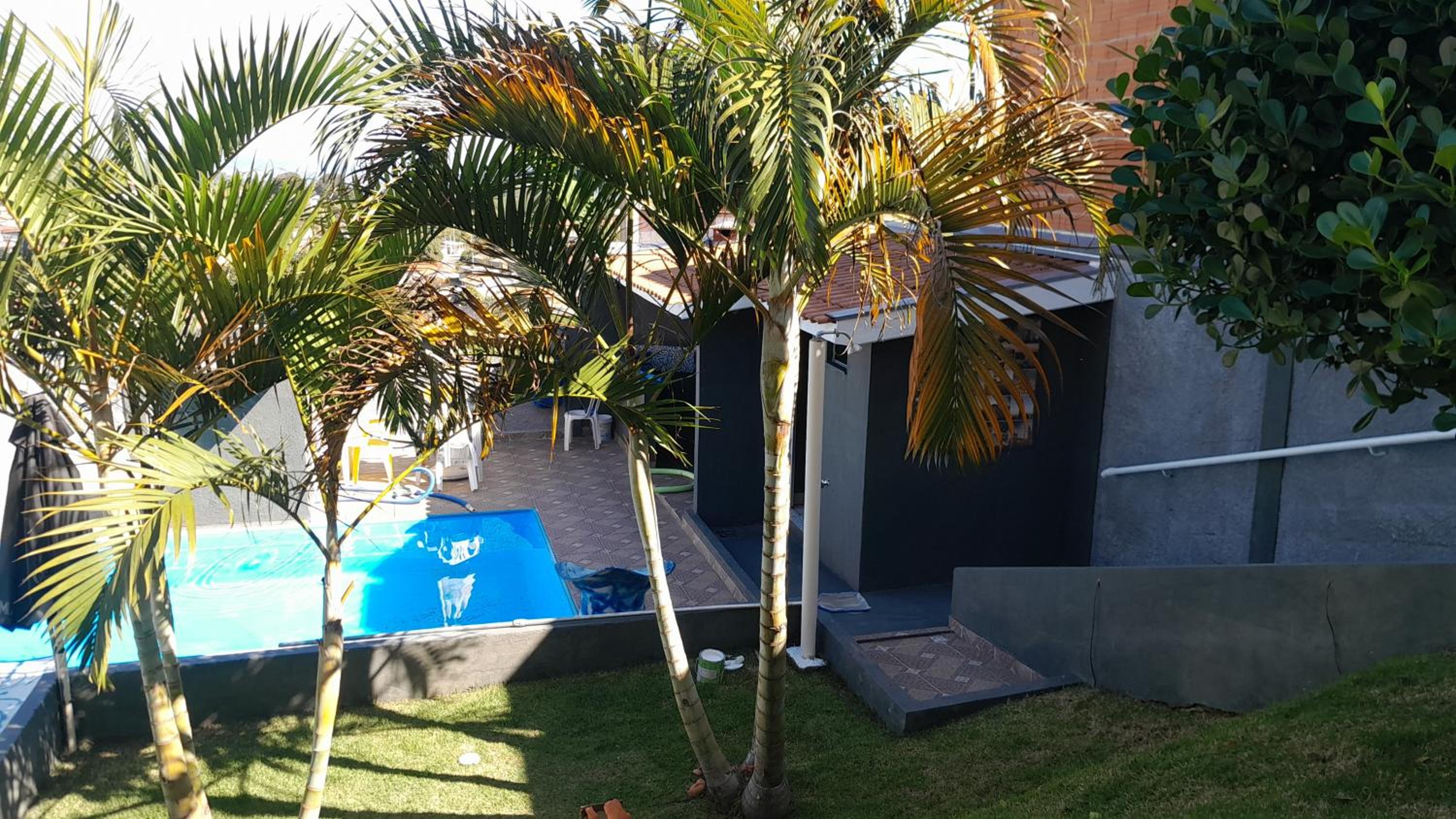 RECANTO K9 - SERRA NEGRA SP. No verão e no inverno