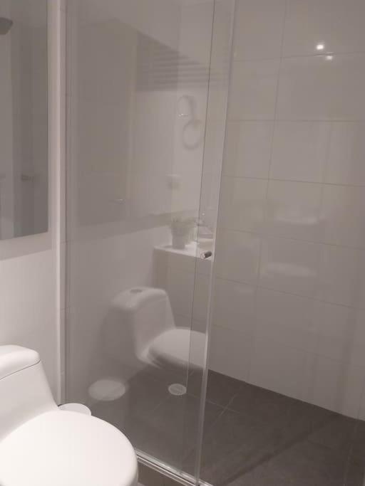 Confortable apartamento