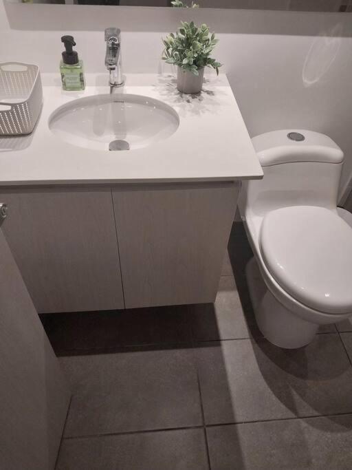 Confortable apartamento