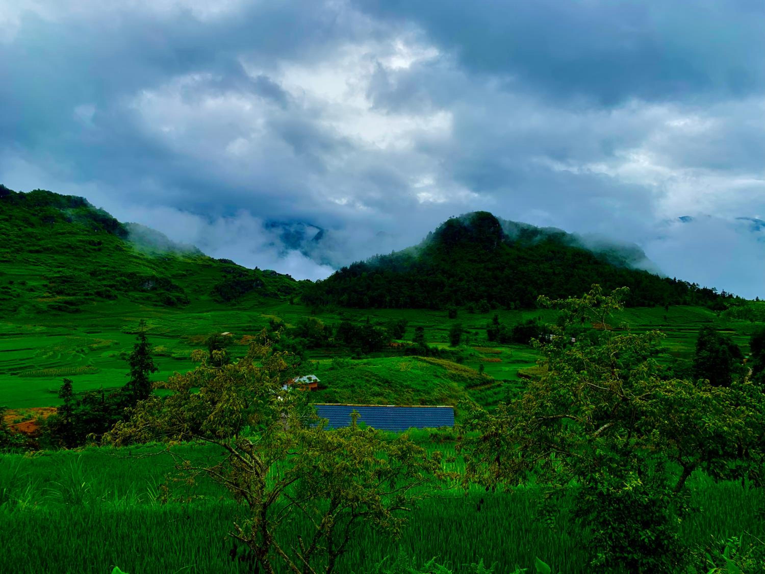 Hoàng homestay