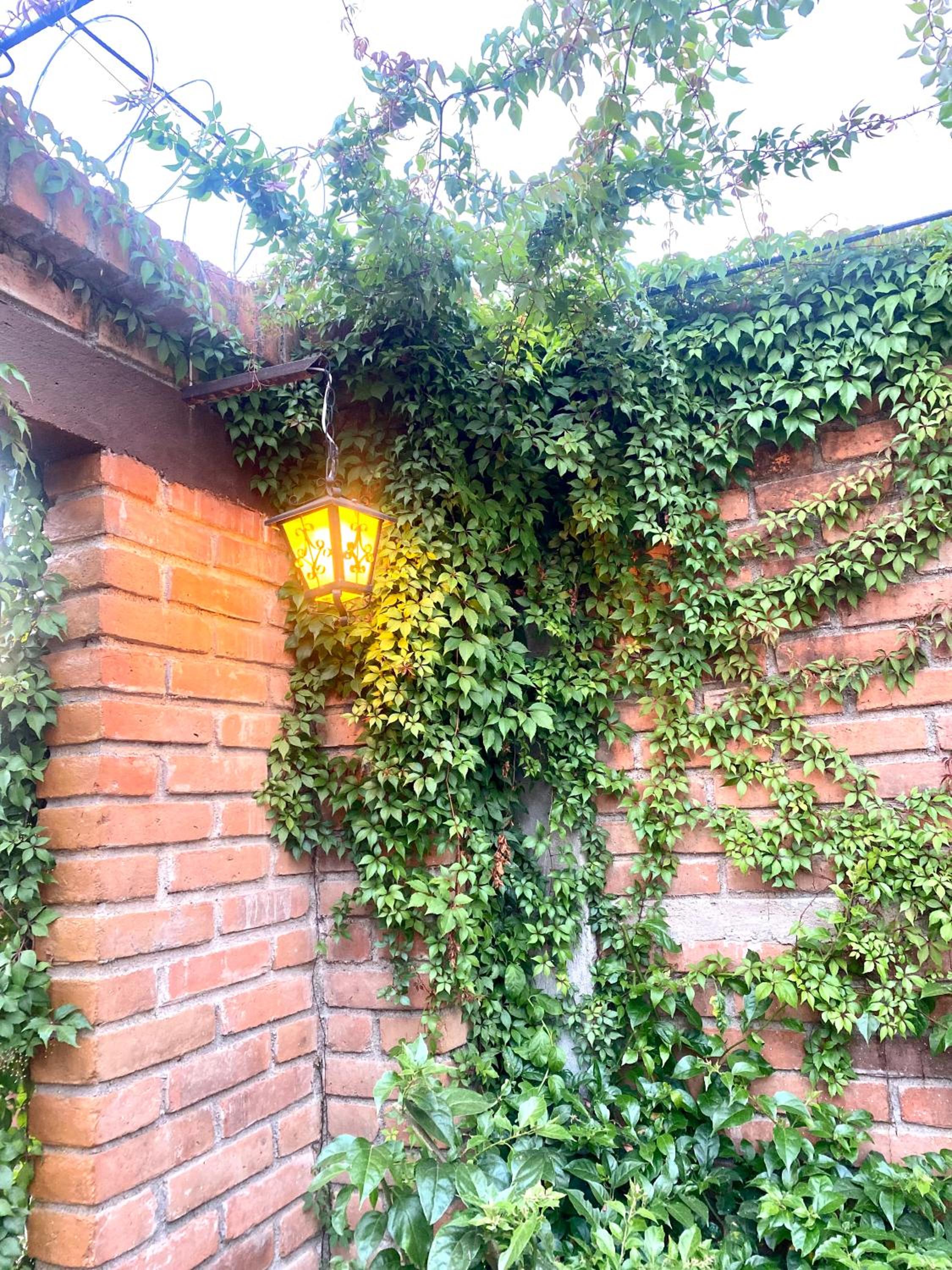 Photo 33
