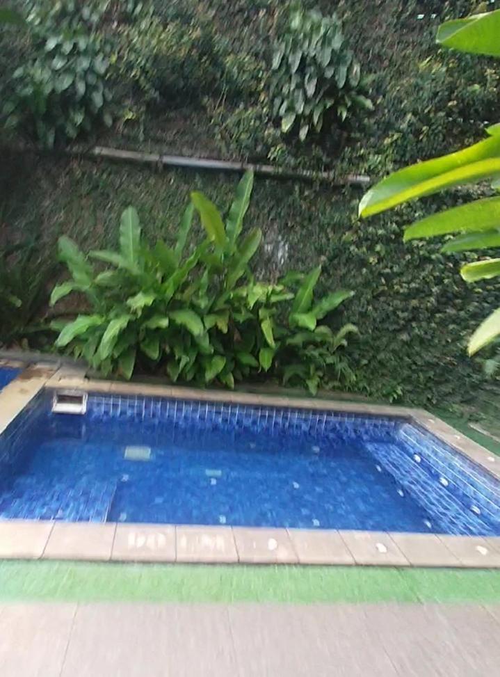 Photo 36