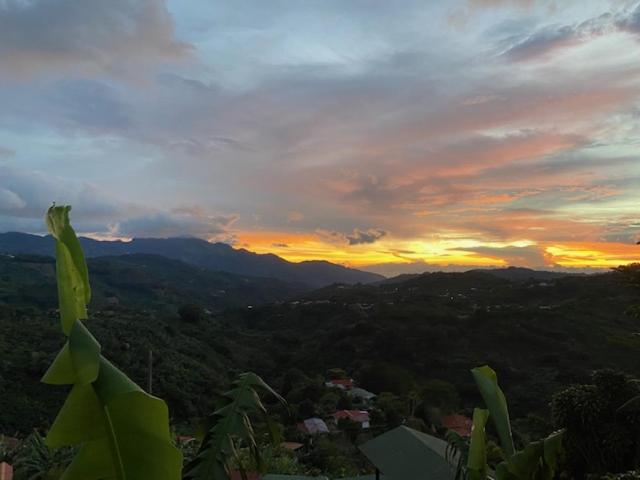 Casa Vista Cafe