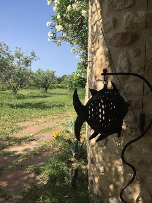 Gite des amis Domaine de Mas Caron view 2