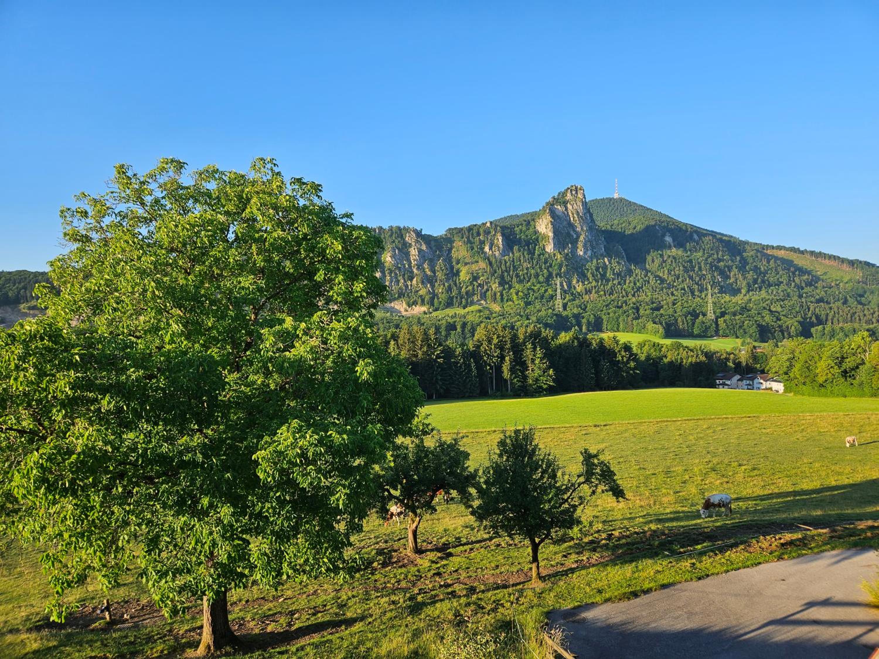 Bauernhof-Loft Edtgut