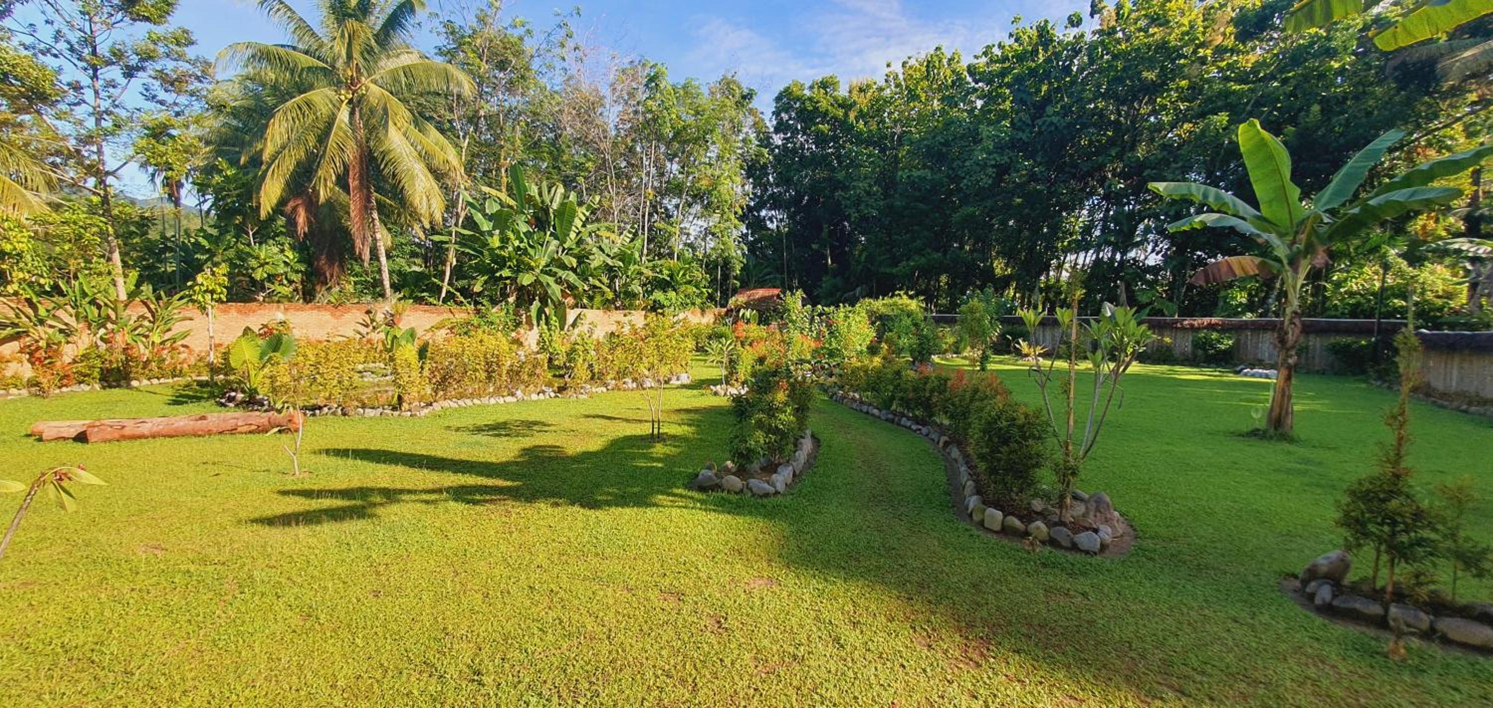 Sumatra Cheeky Monkeys Villa, Trekking and Tours