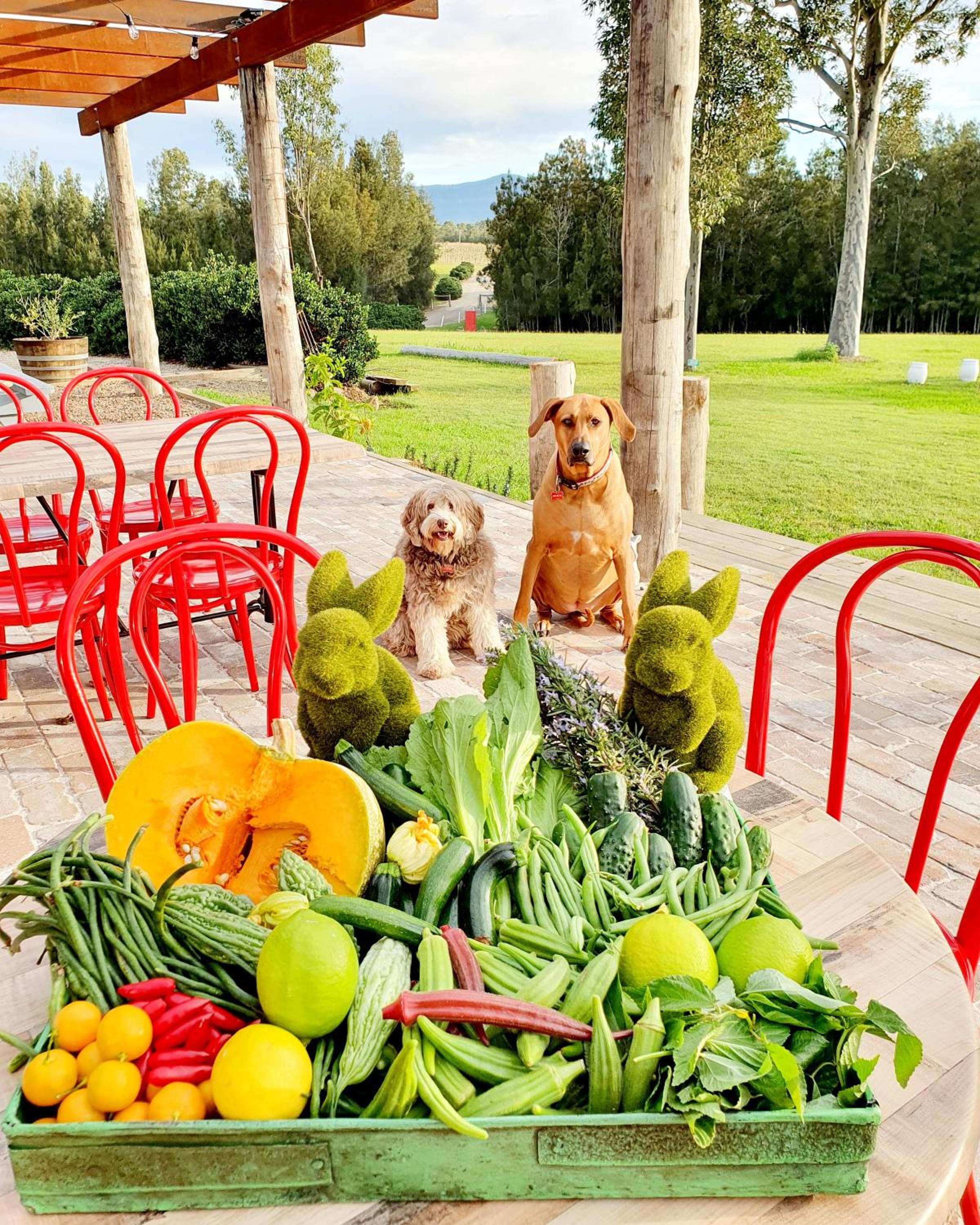 Red Door Collective - RDC Vineyard Estate, Luxury Adult Only Stay