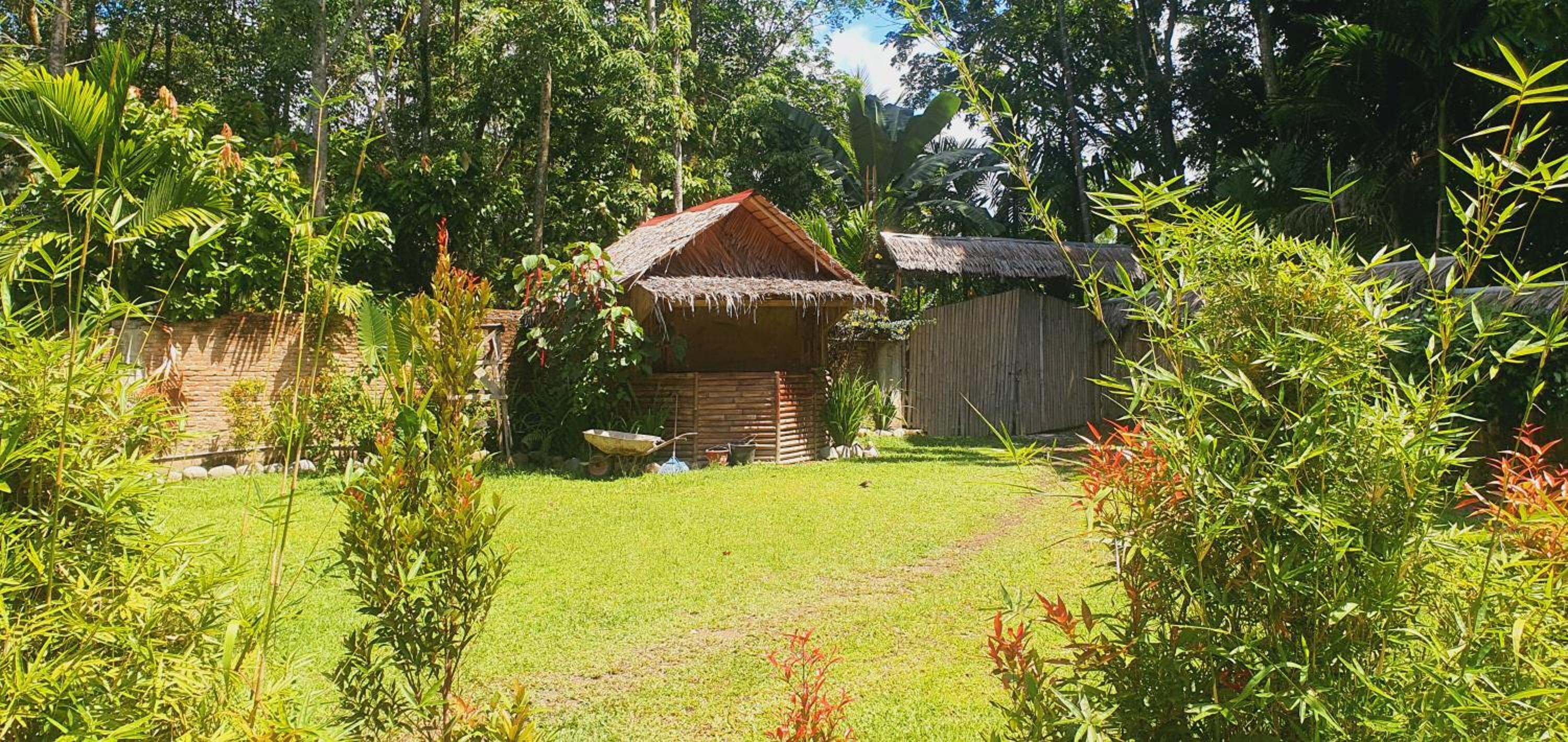Sumatra Cheeky Monkeys Villa, Trekking and Tours