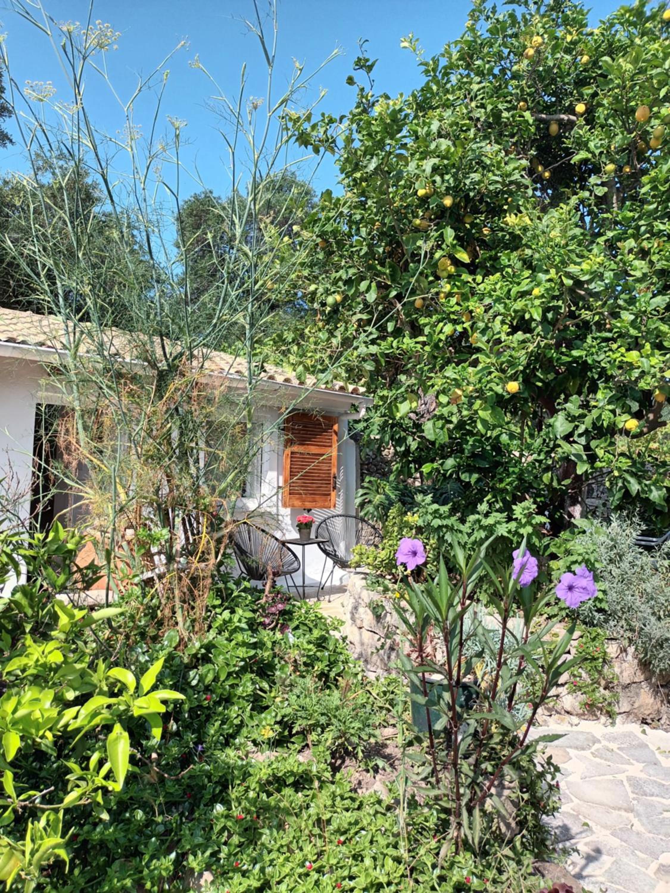 Aphrodite's hidden gem on Paxos island