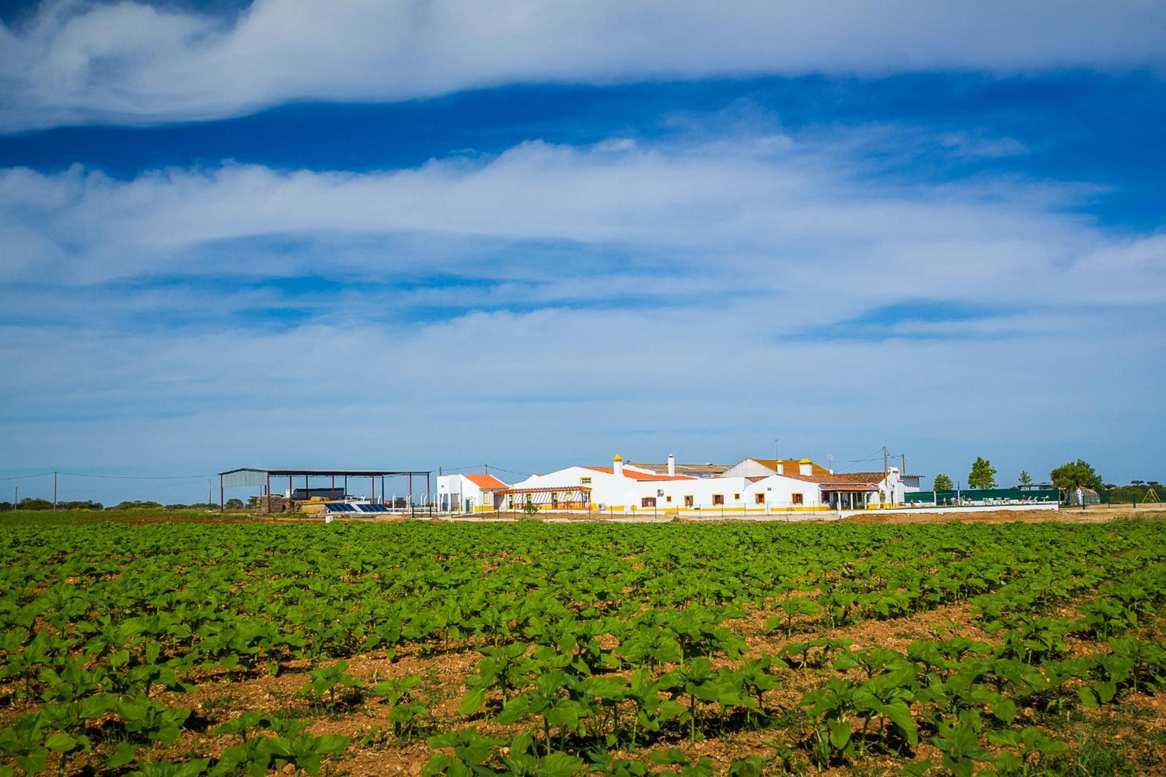 Agro-Turismo do ROXO